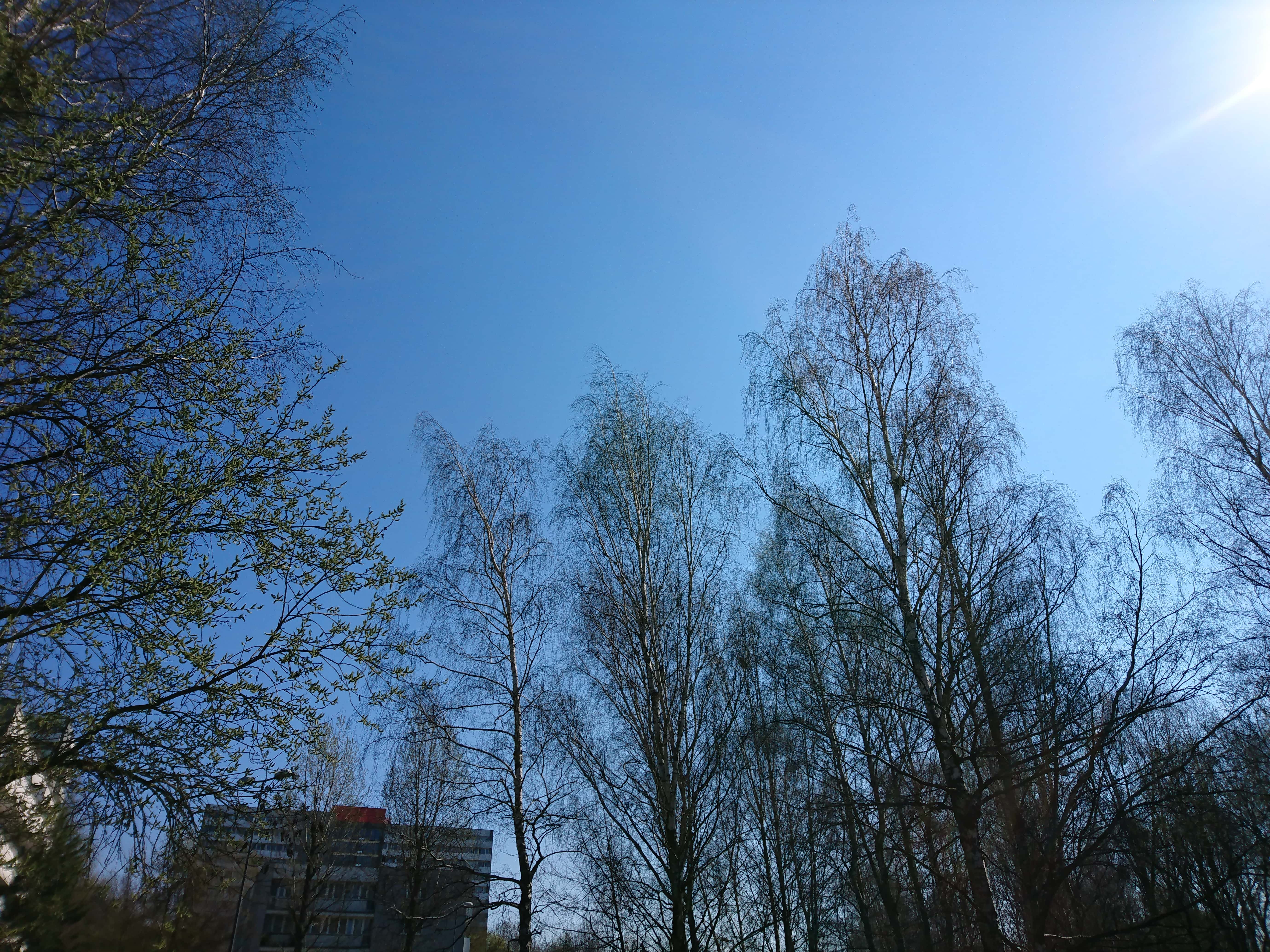 Słoneczna pogoda - Sony Xperia X Performance
