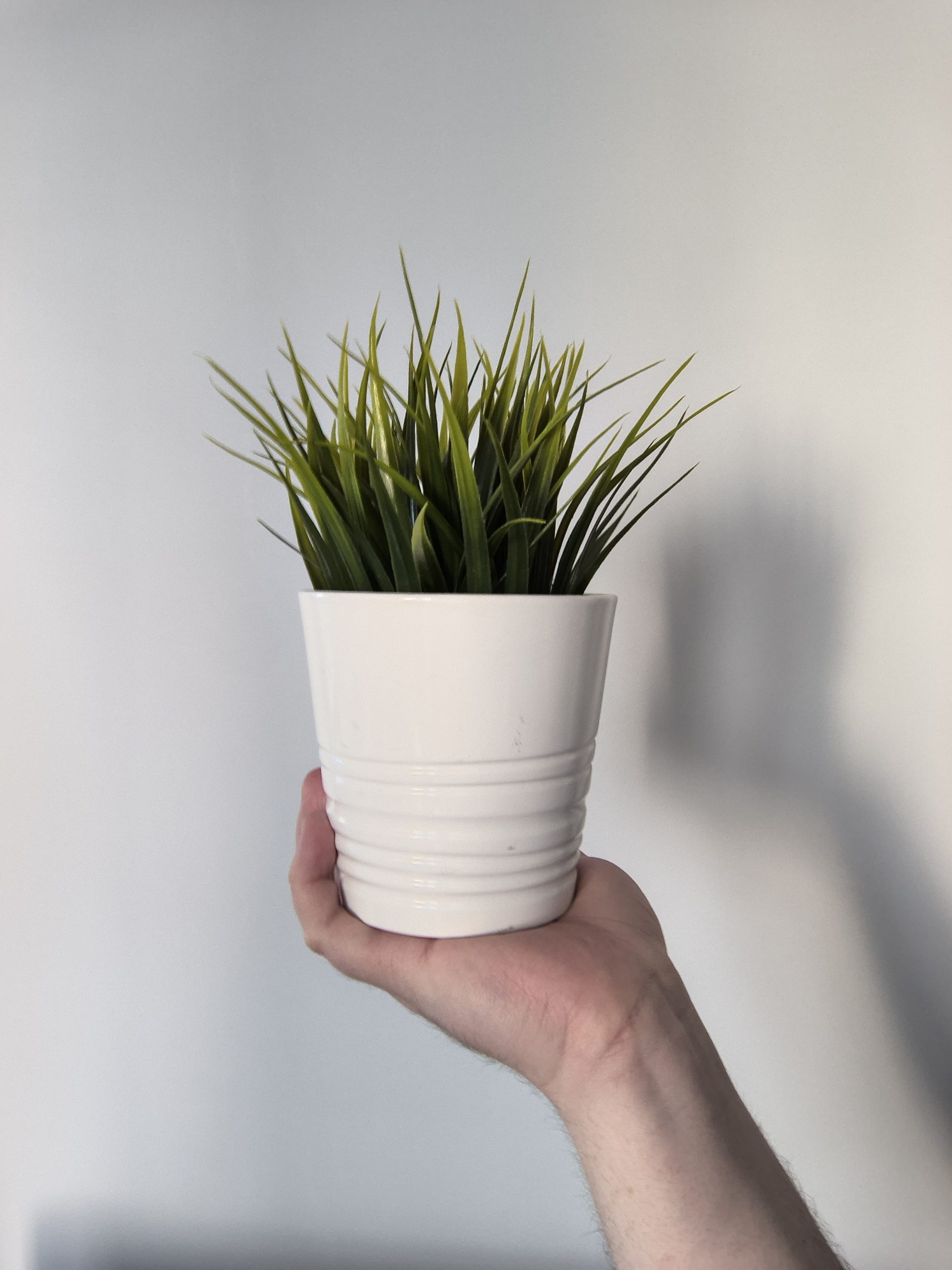 Przednia kamerka - Motorola Edge 50 Neo