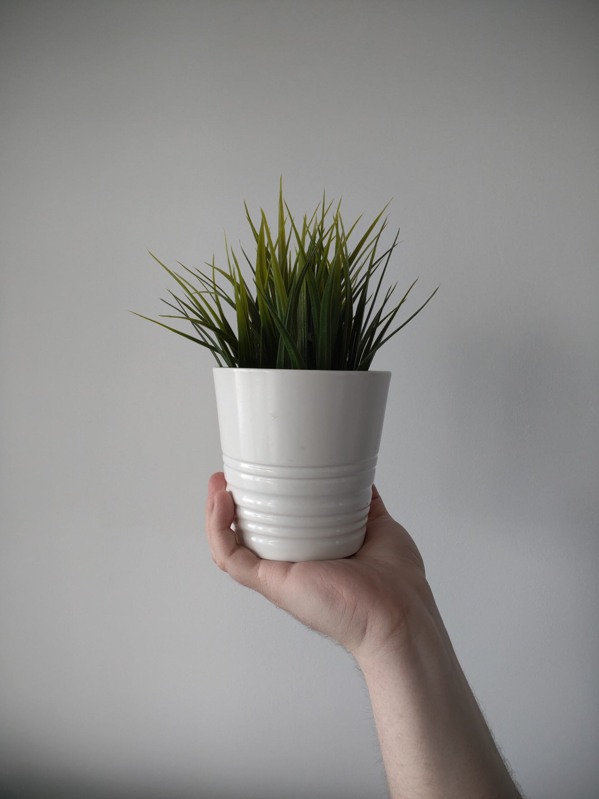 Przednia kamerka - Motorola Edge 50 Pro Przednia kamerka - Motorola Edge 50 Pro