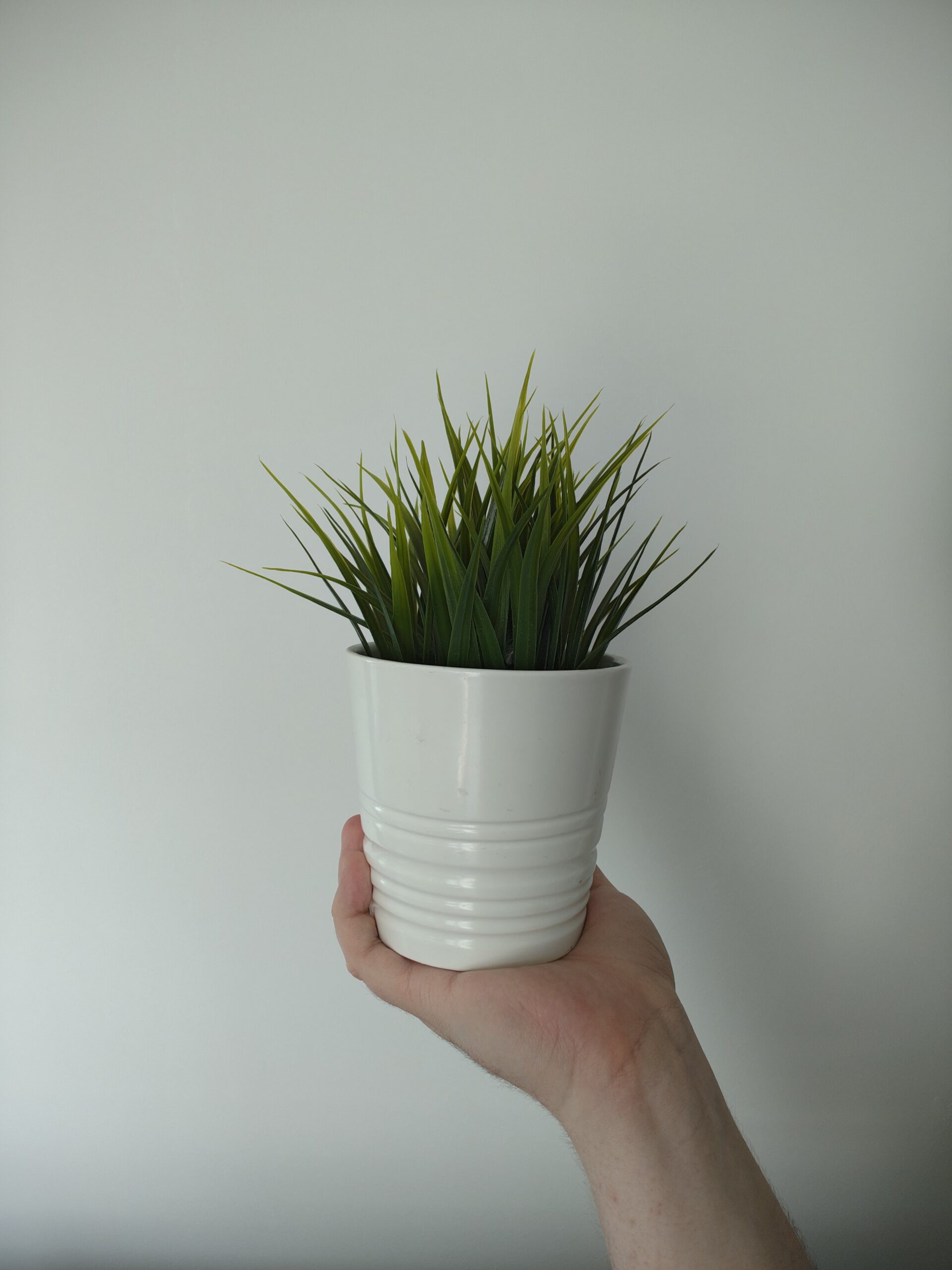 Przednia kamerka - Motorola Edge 50 Ultra Przednia kamerka - Motorola Edge 50 Ultra