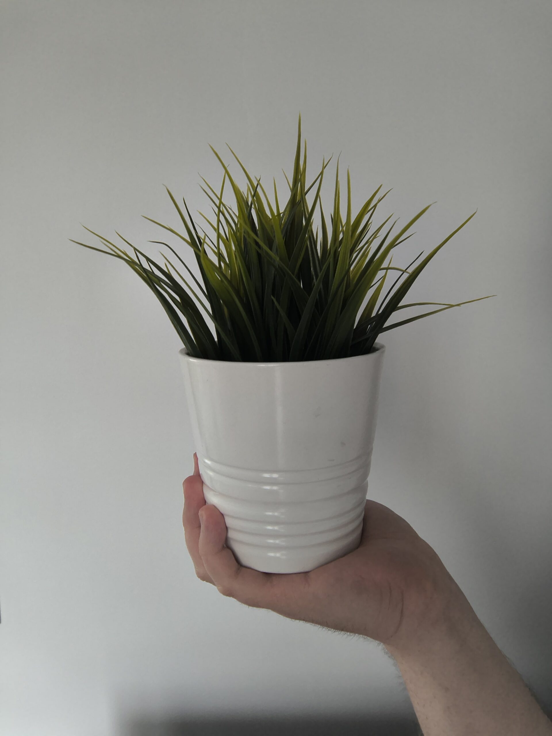 Przednia kamerka - Motorola Razr 50