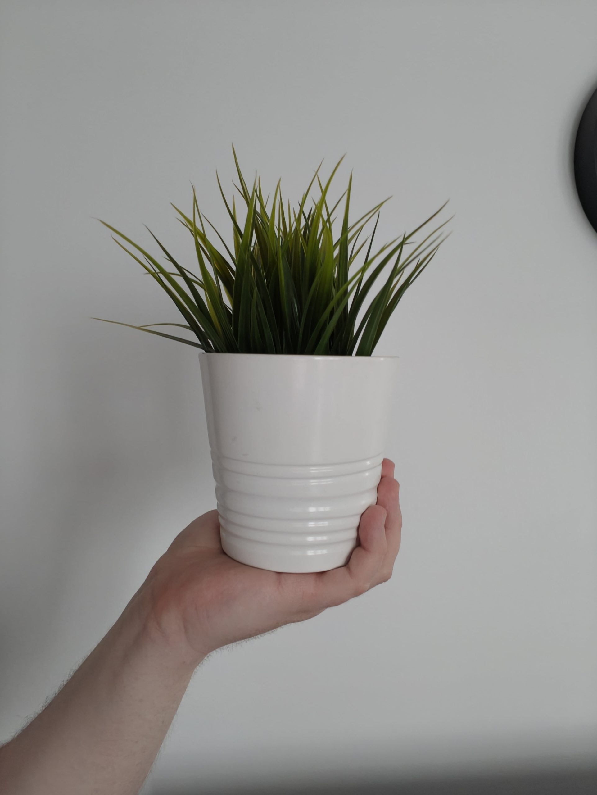 Przednia kamerka - OPPO Find X8 Pro