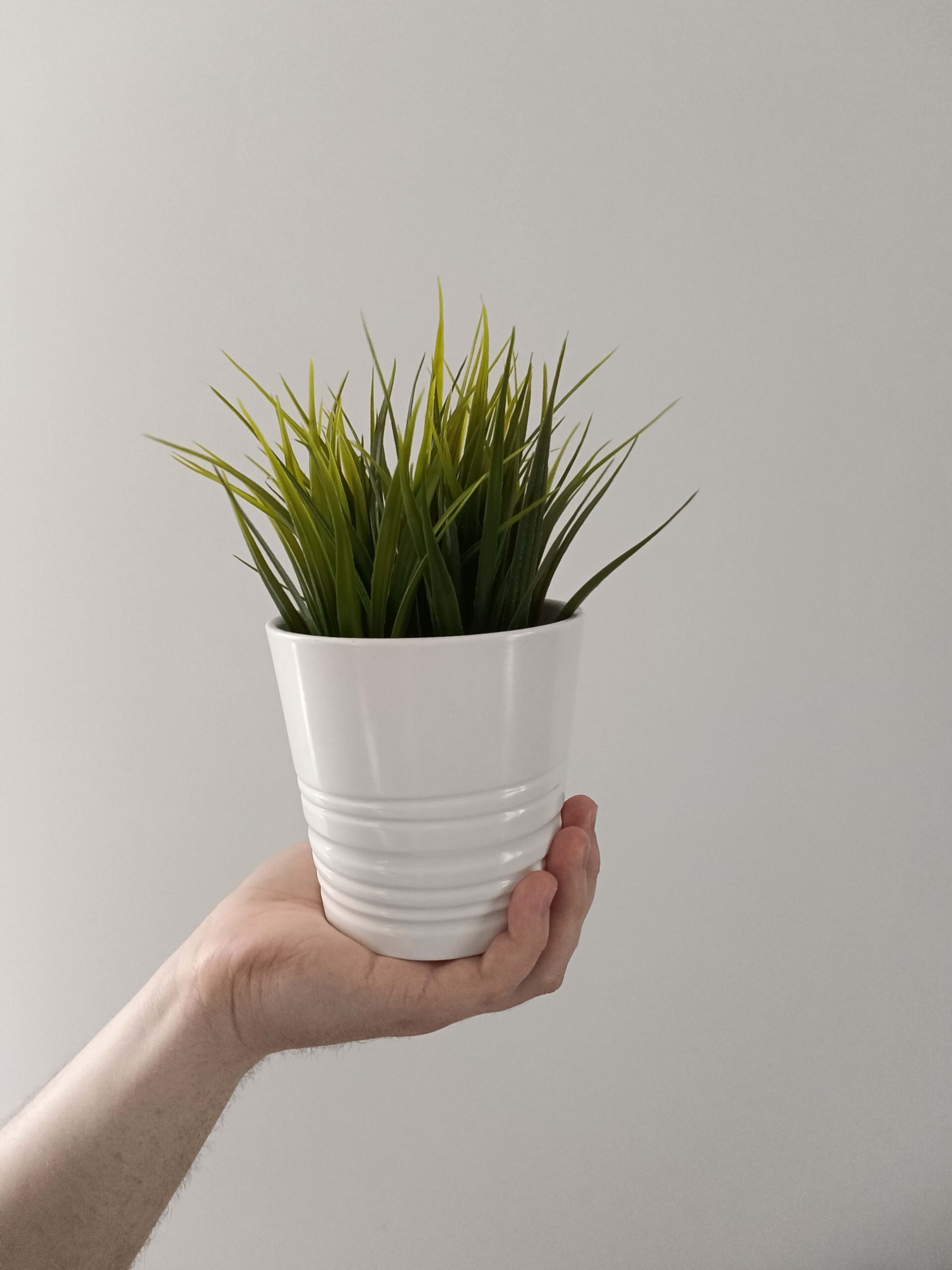 Przednia kamerka - OPPO Reno12 F