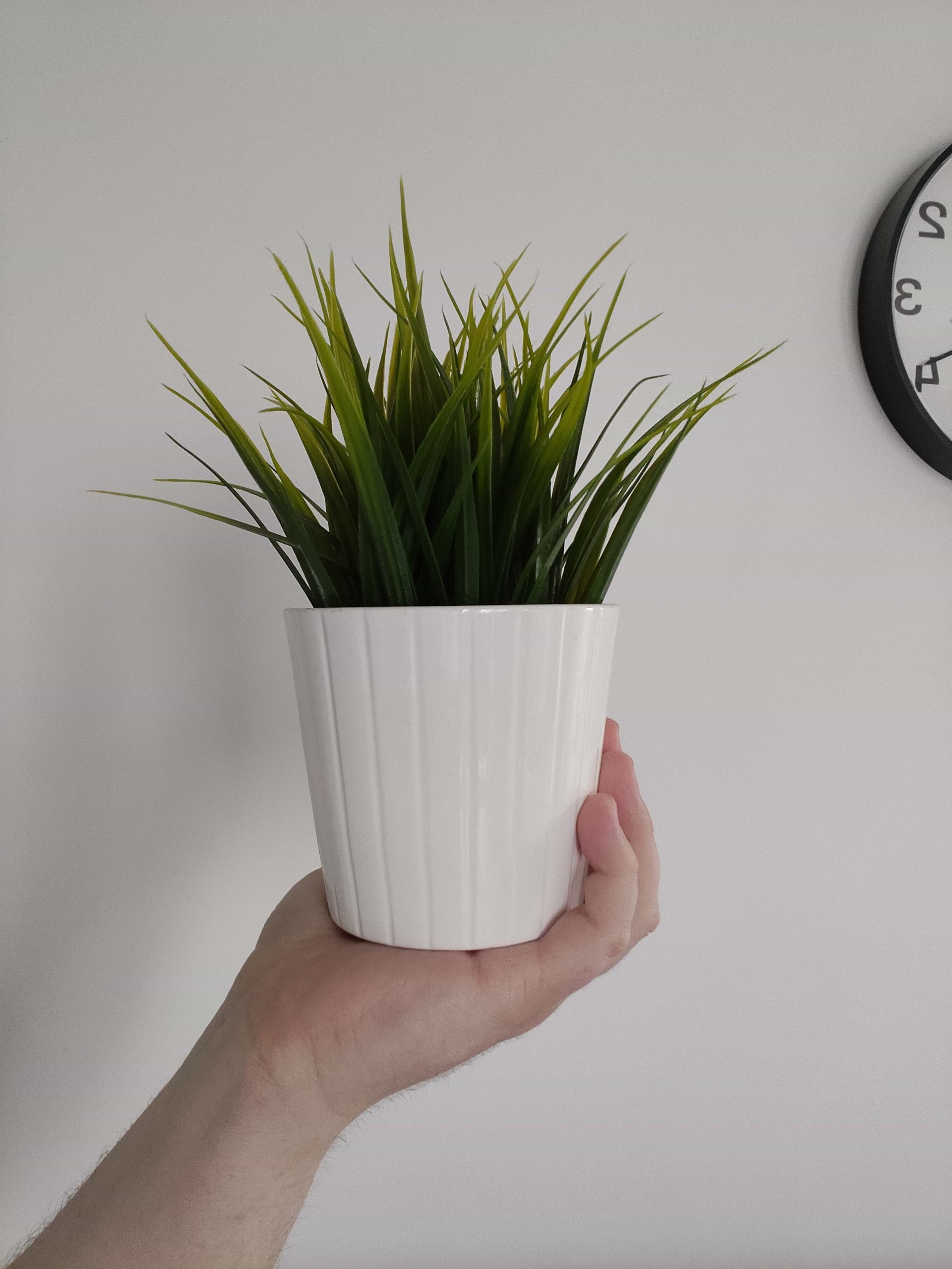 Przednia kamerka - OPPO Reno13 FS