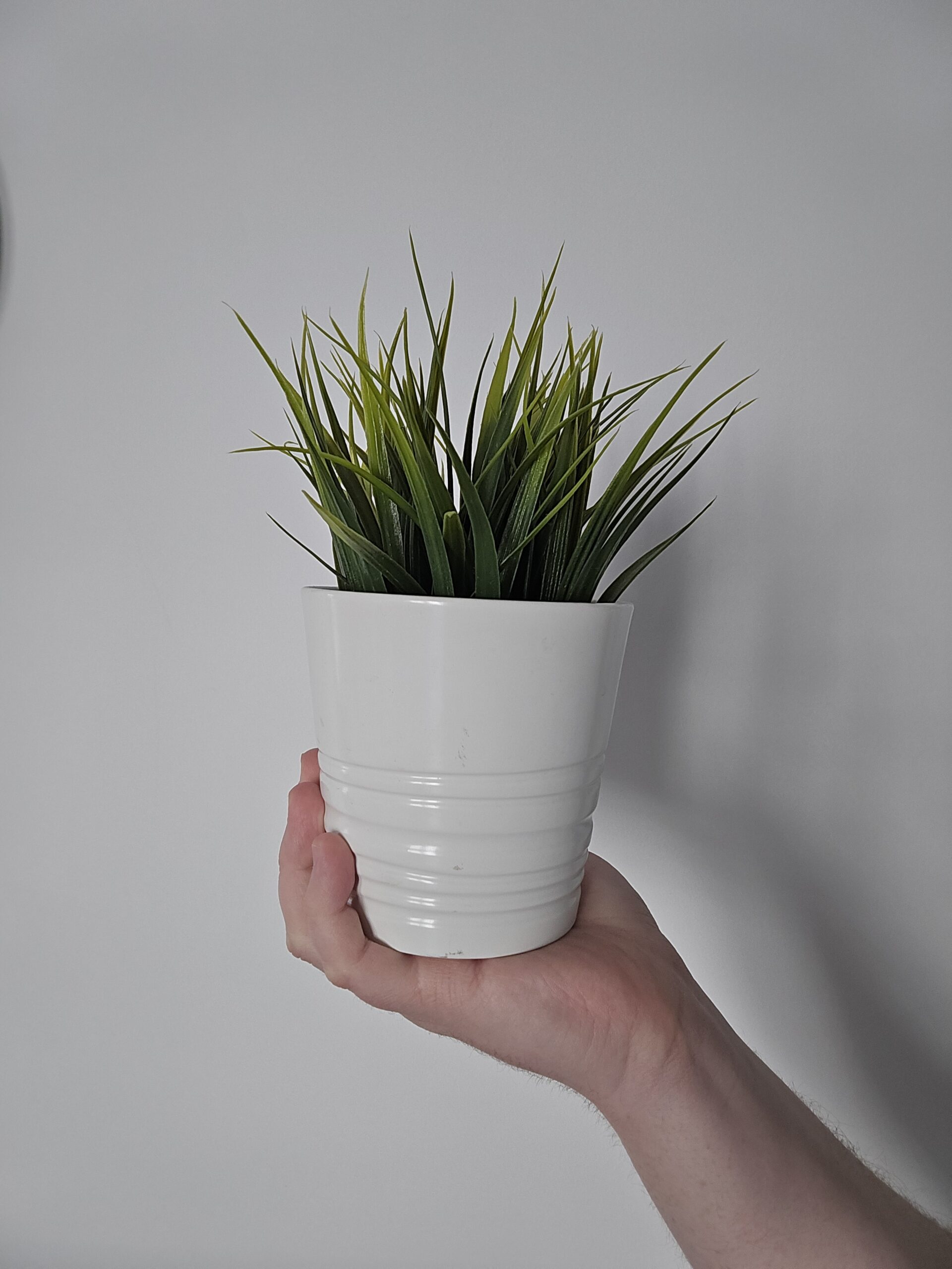 Przednia kamerka - Samsung Galaxy Z Fold6