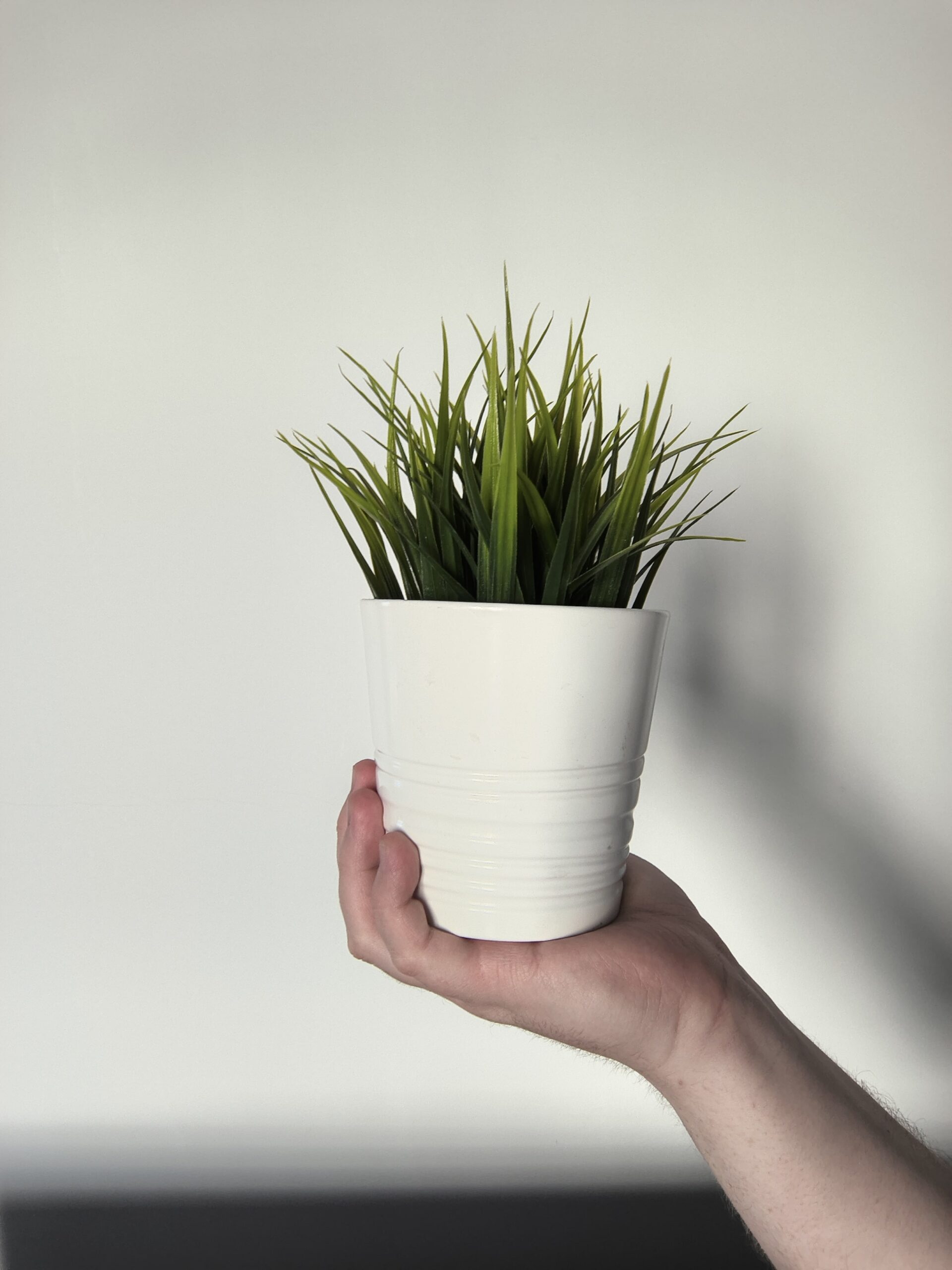 Przednia kamerka - Thinkphone 25 by Motorola