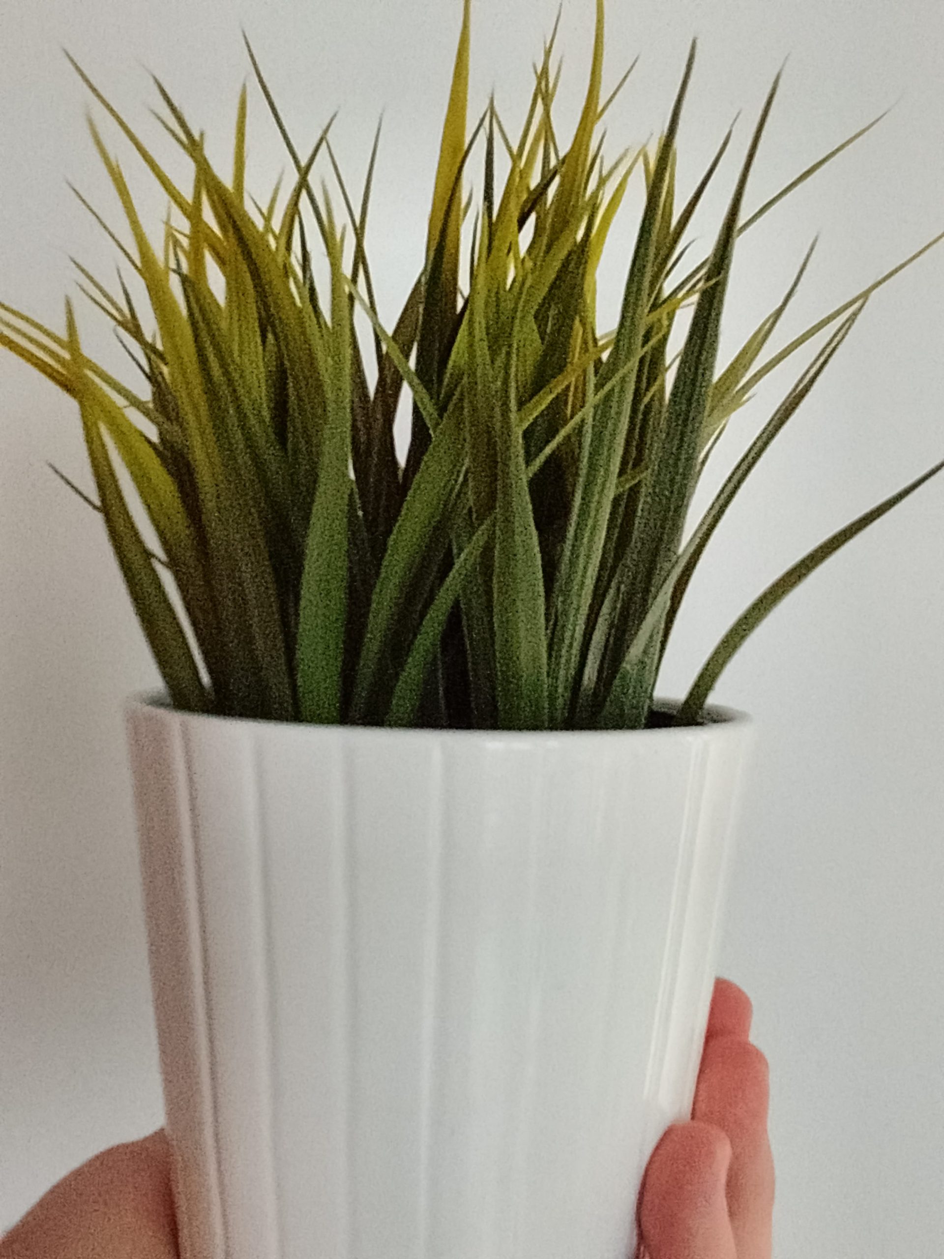 Przednia kamerka - nubia Neo 2