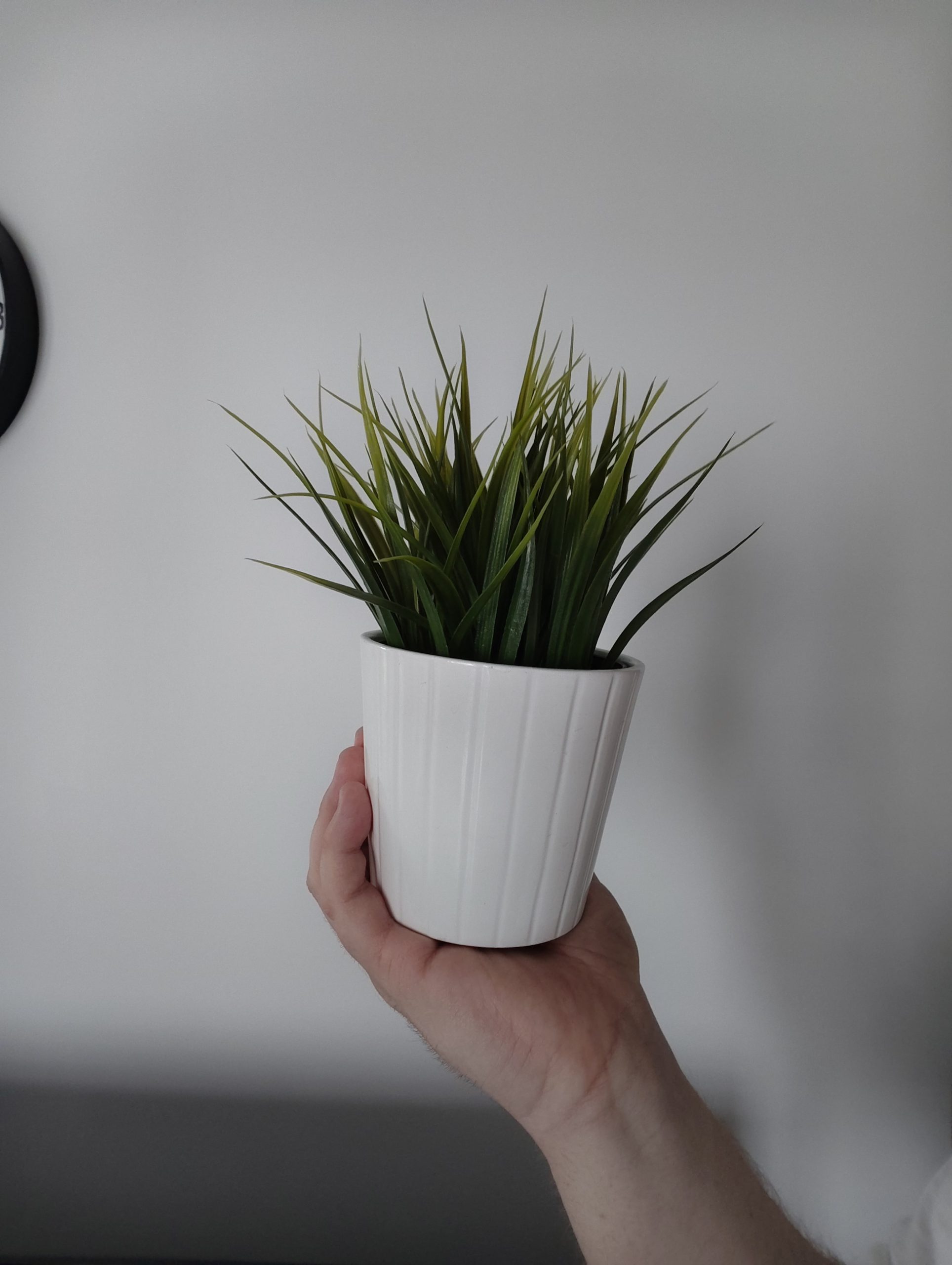 Przednia kamerka - vivo V50