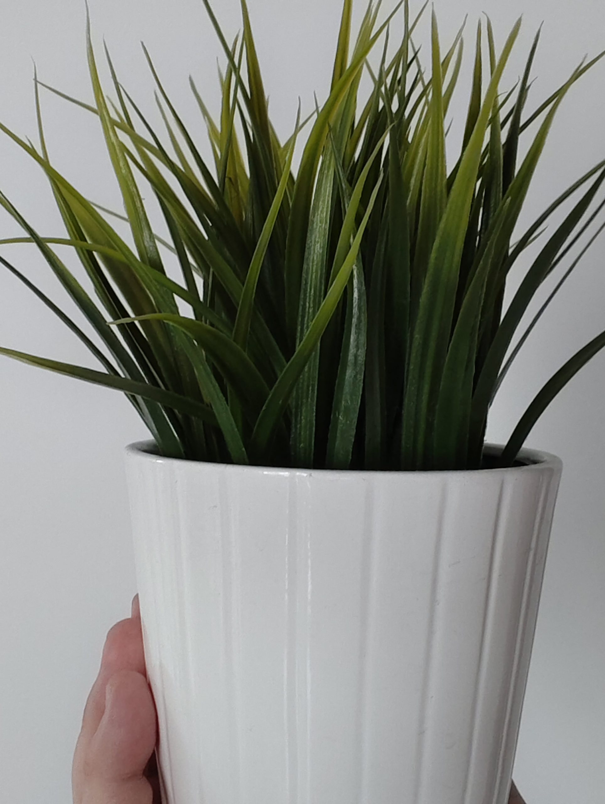 Przednia kamerka - vivo V50