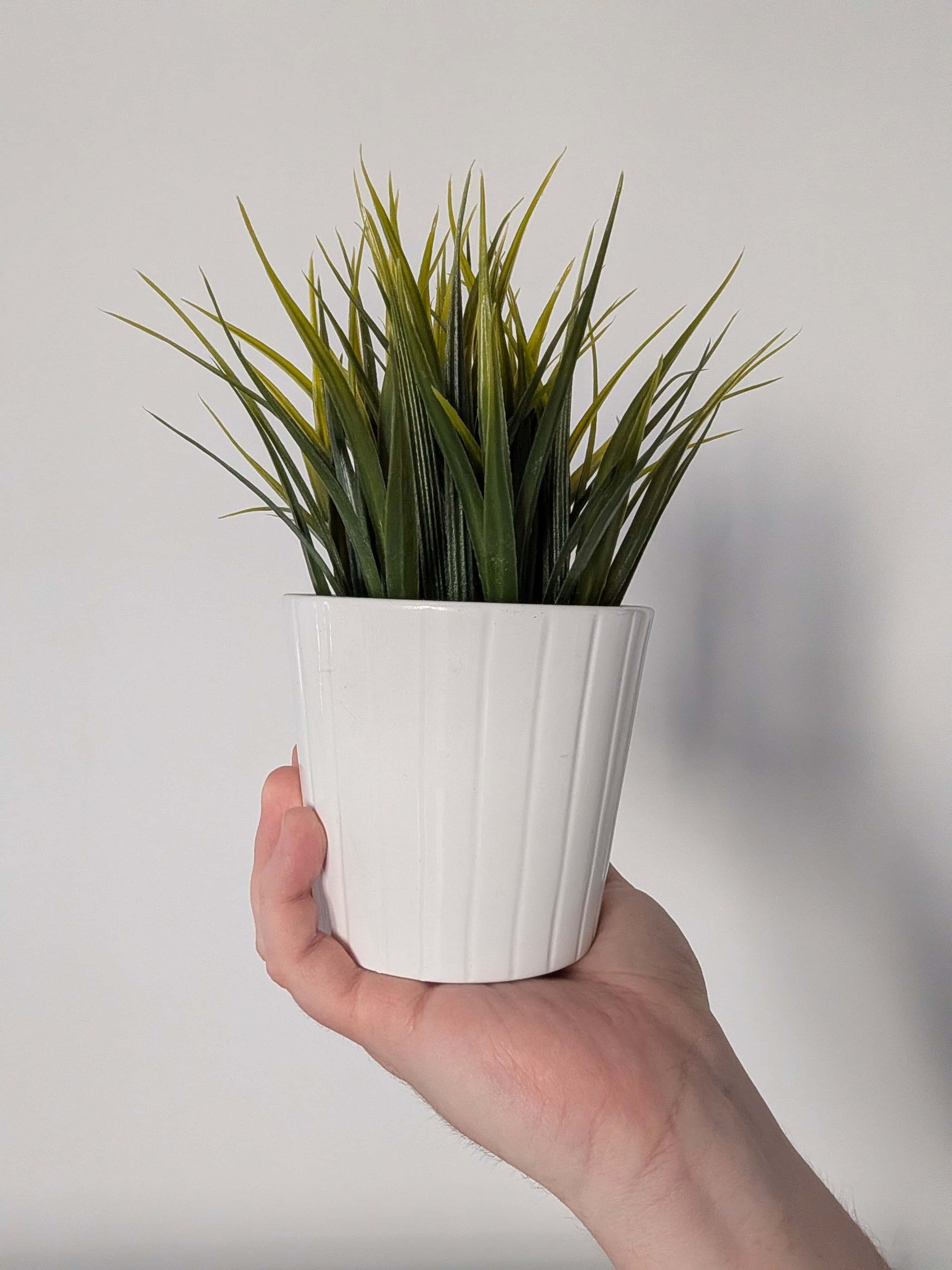 Przednia kamerka - Google Pixel 10 Pro