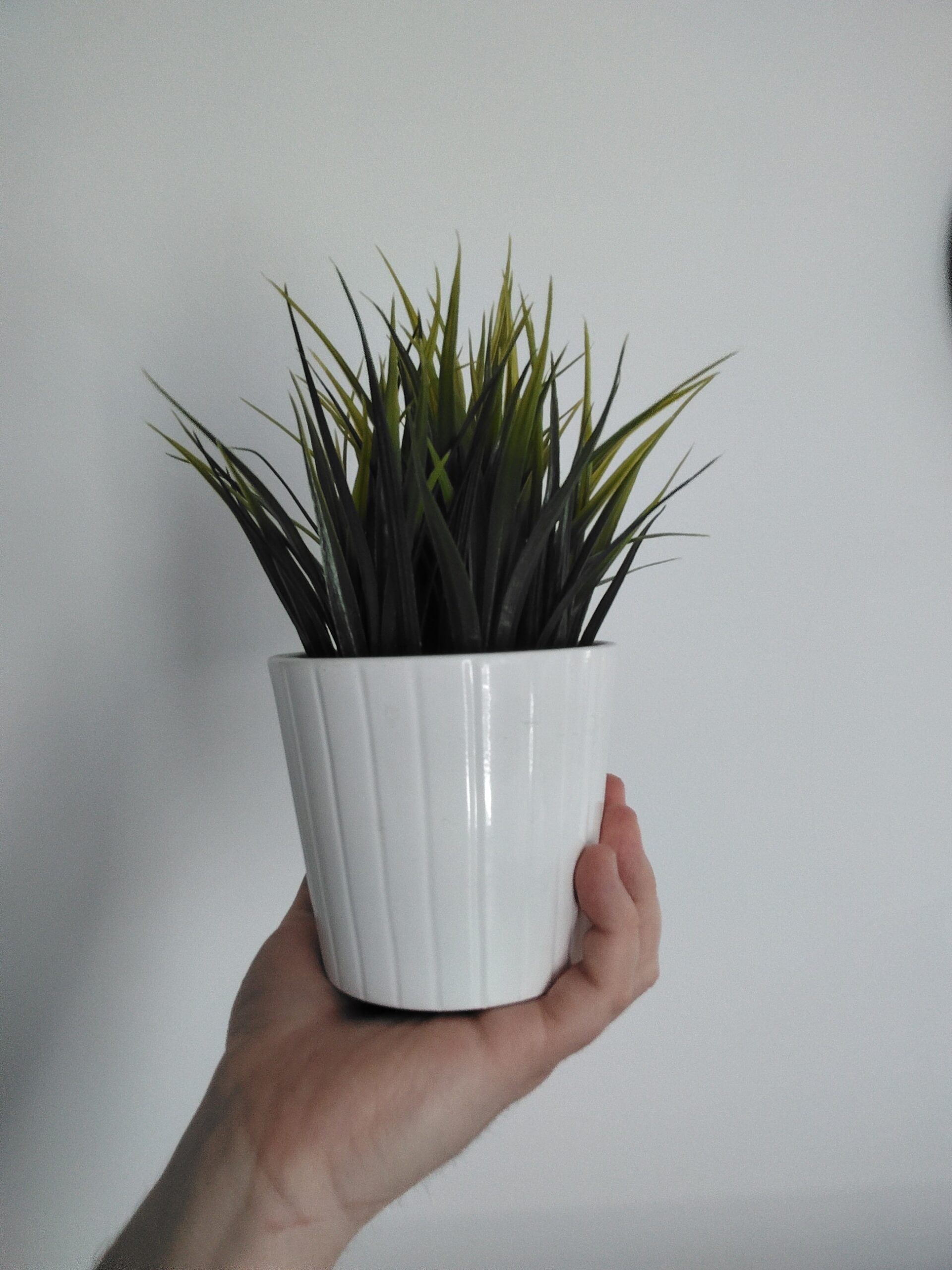 Przednia kamerka - HONOR 200 Smart