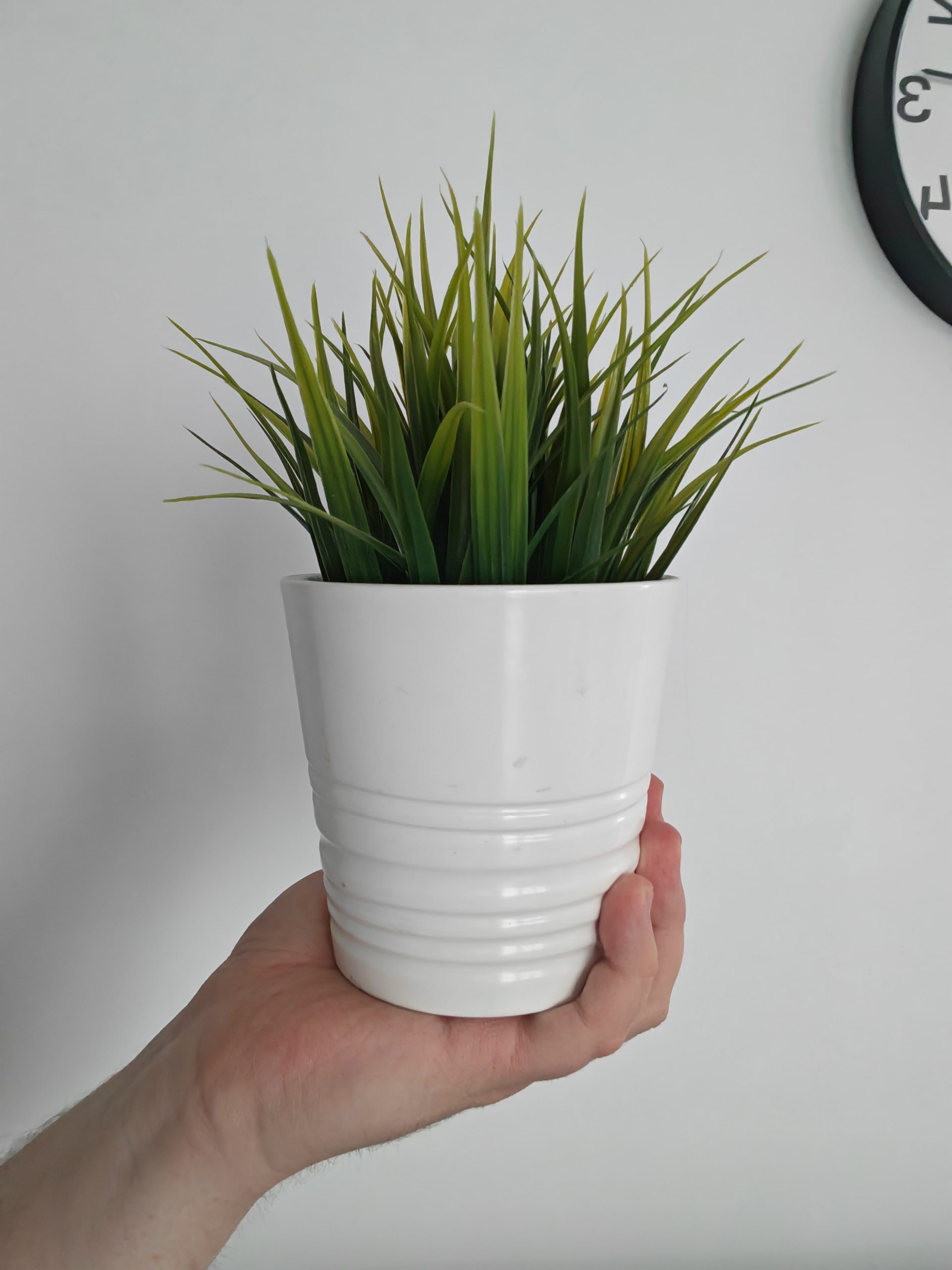 Przednia kamerka - HONOR Magic7 Pro