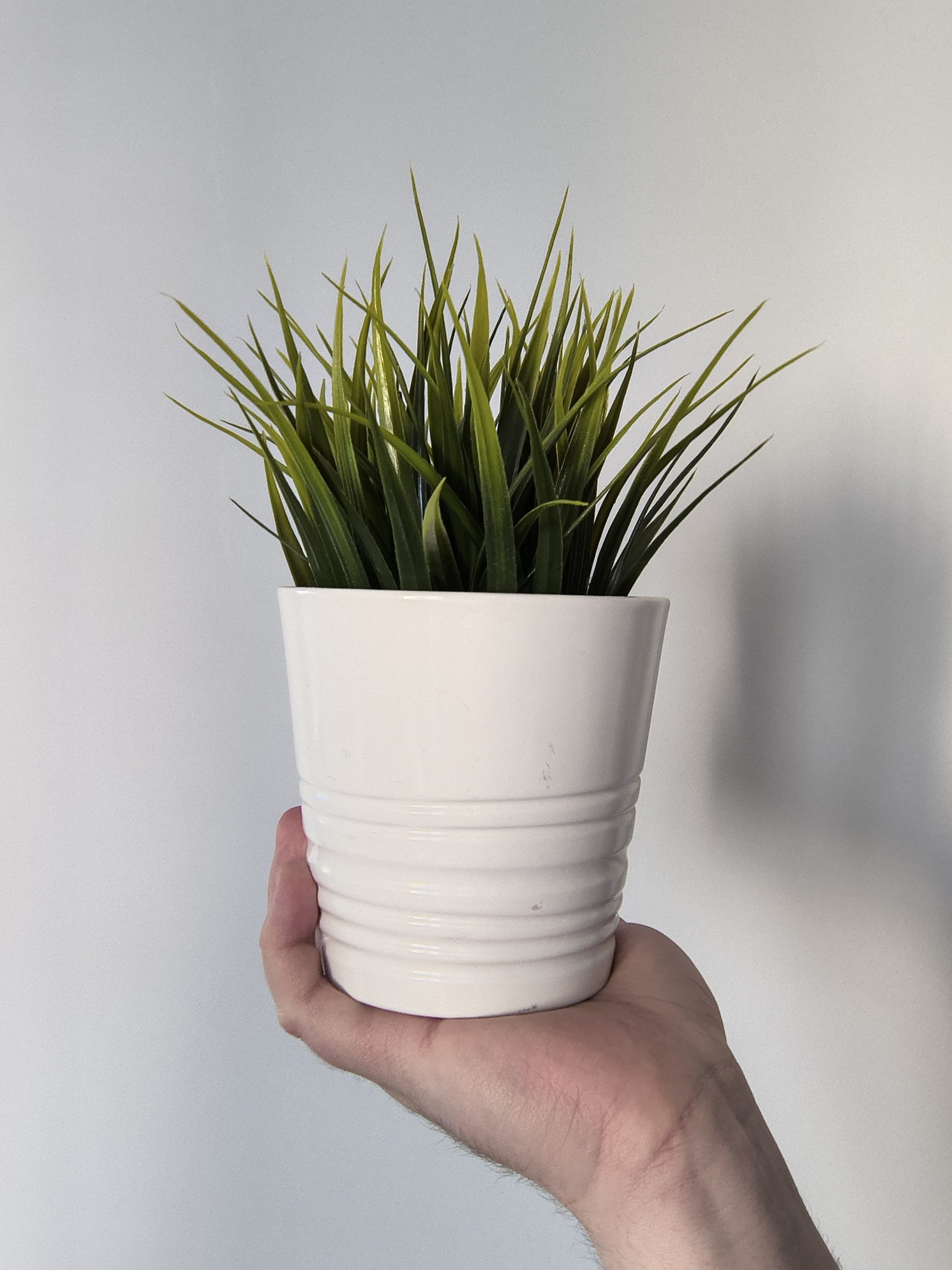 Przednia kamerka - Motorola Edge 50 Neo