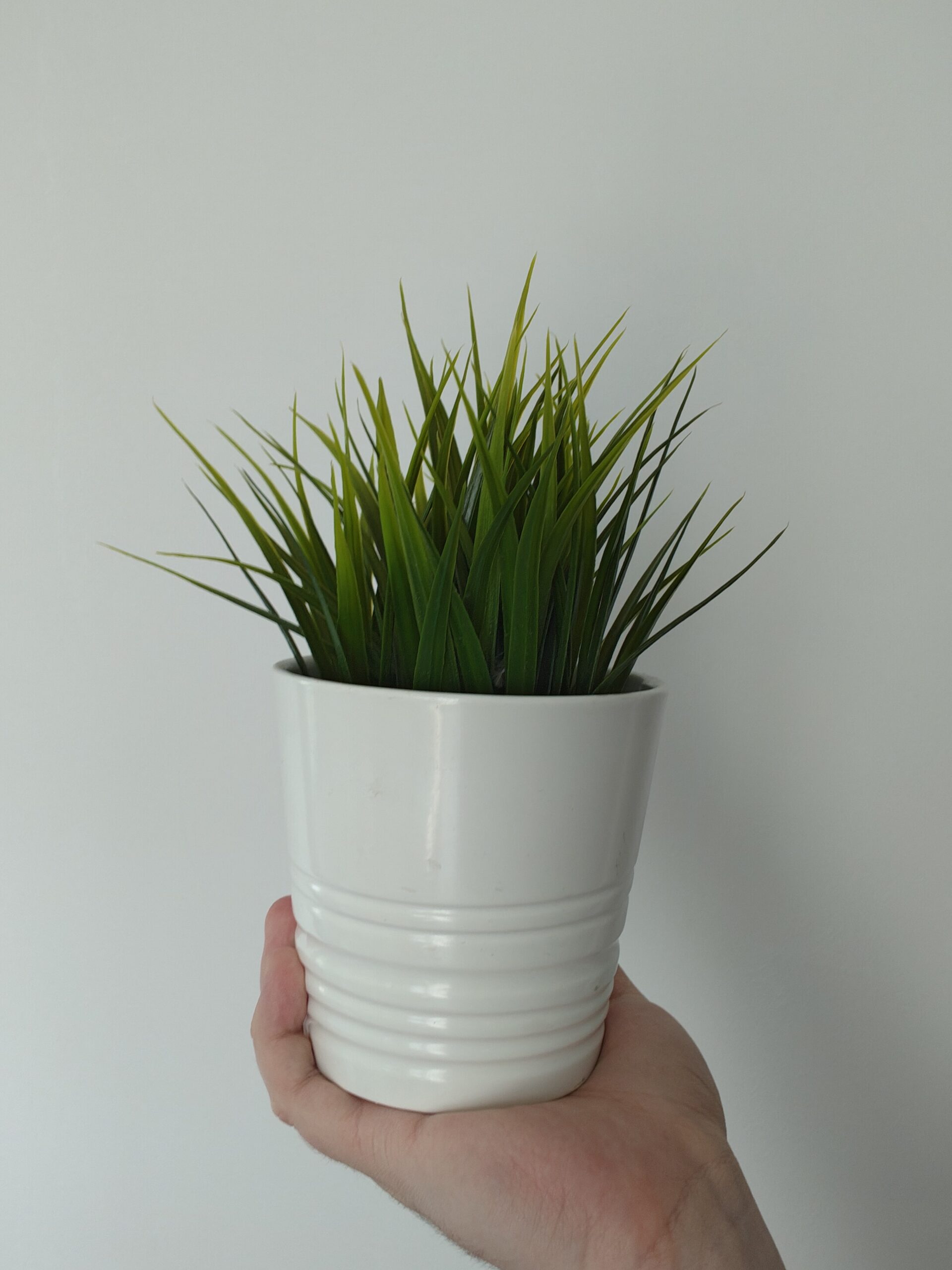 Przednia kamerka - Motorola Edge 50 Ultra Przednia kamerka - Motorola Edge 50 Ultra