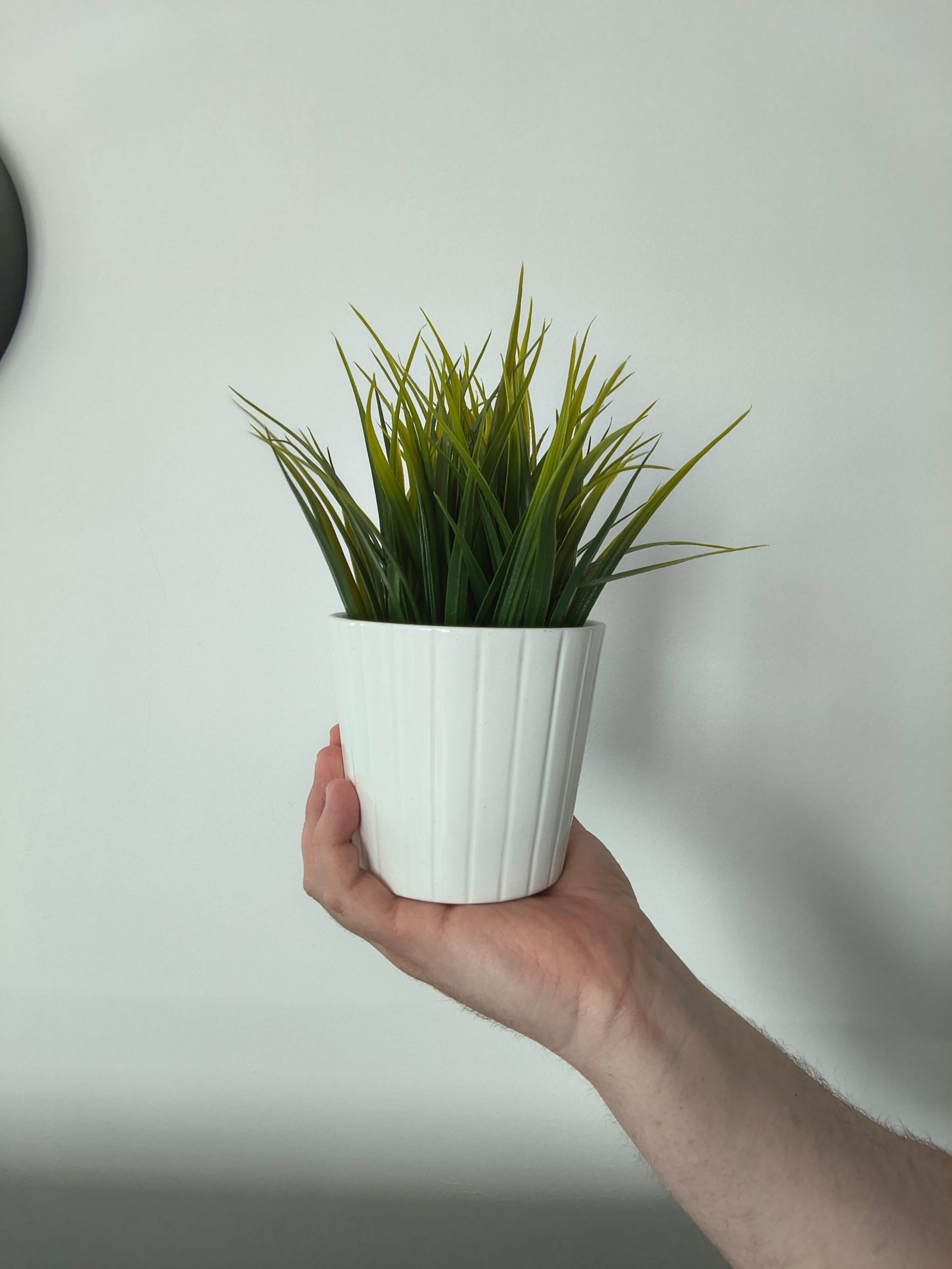 Przednia kamerka - Motorola Edge 60 Fusion Przednia kamerka - Motorola Edge 60 Fusion