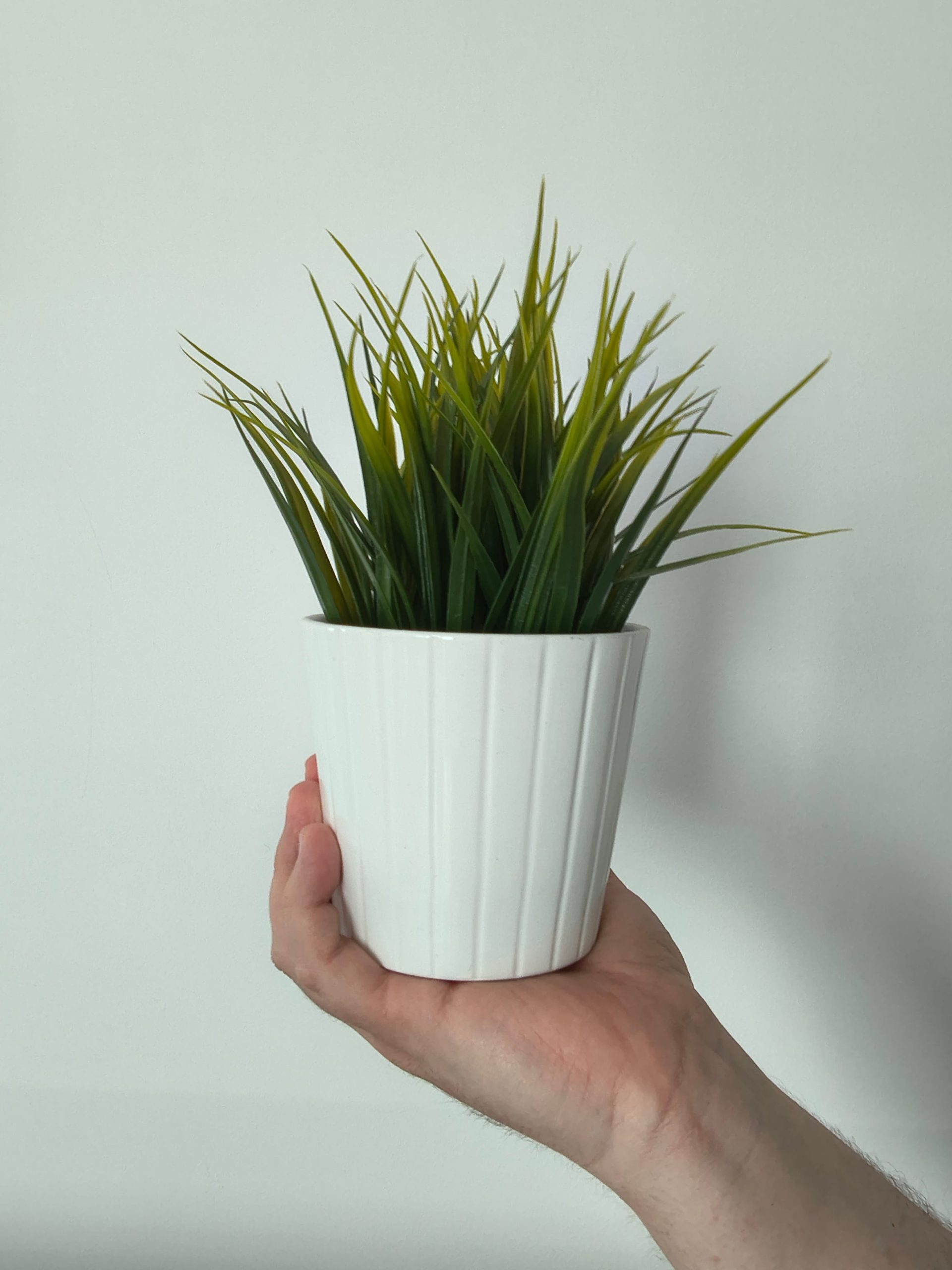 Przednia kamerka - Motorola Edge 60 Fusion Przednia kamerka - Motorola Edge 60 Fusion