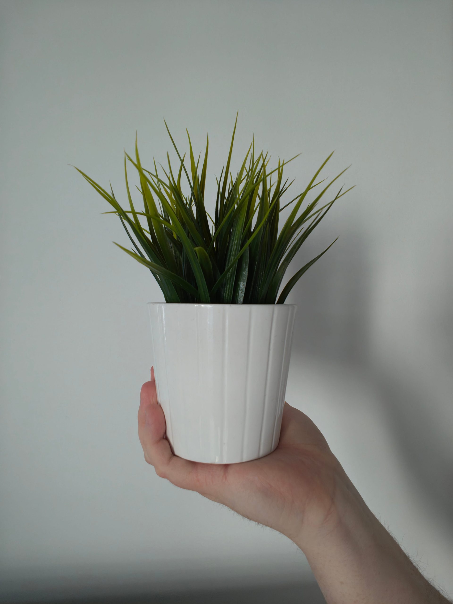 Przednia kamerka - Motorola Edge 70