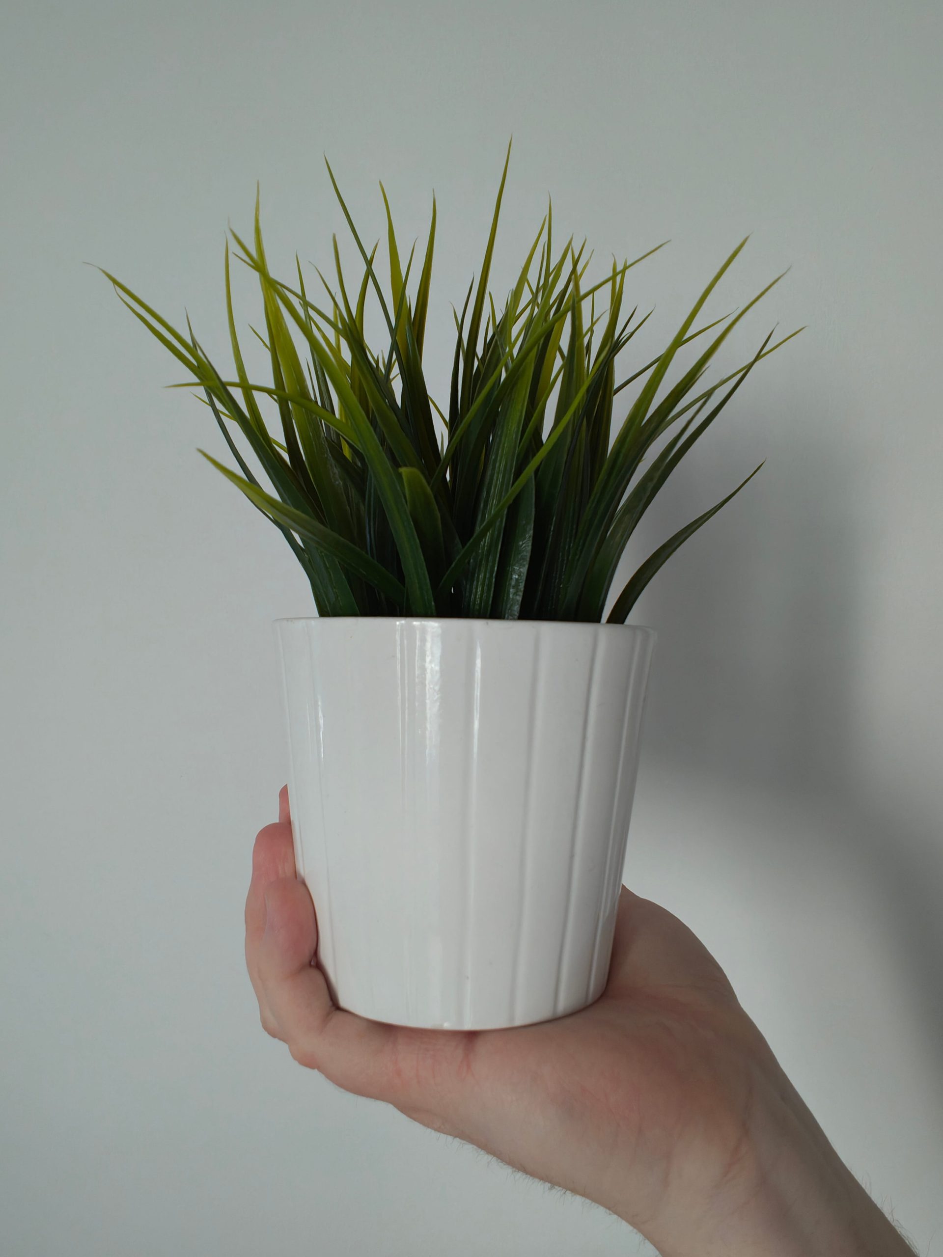 Przednia kamerka - Motorola Edge 70