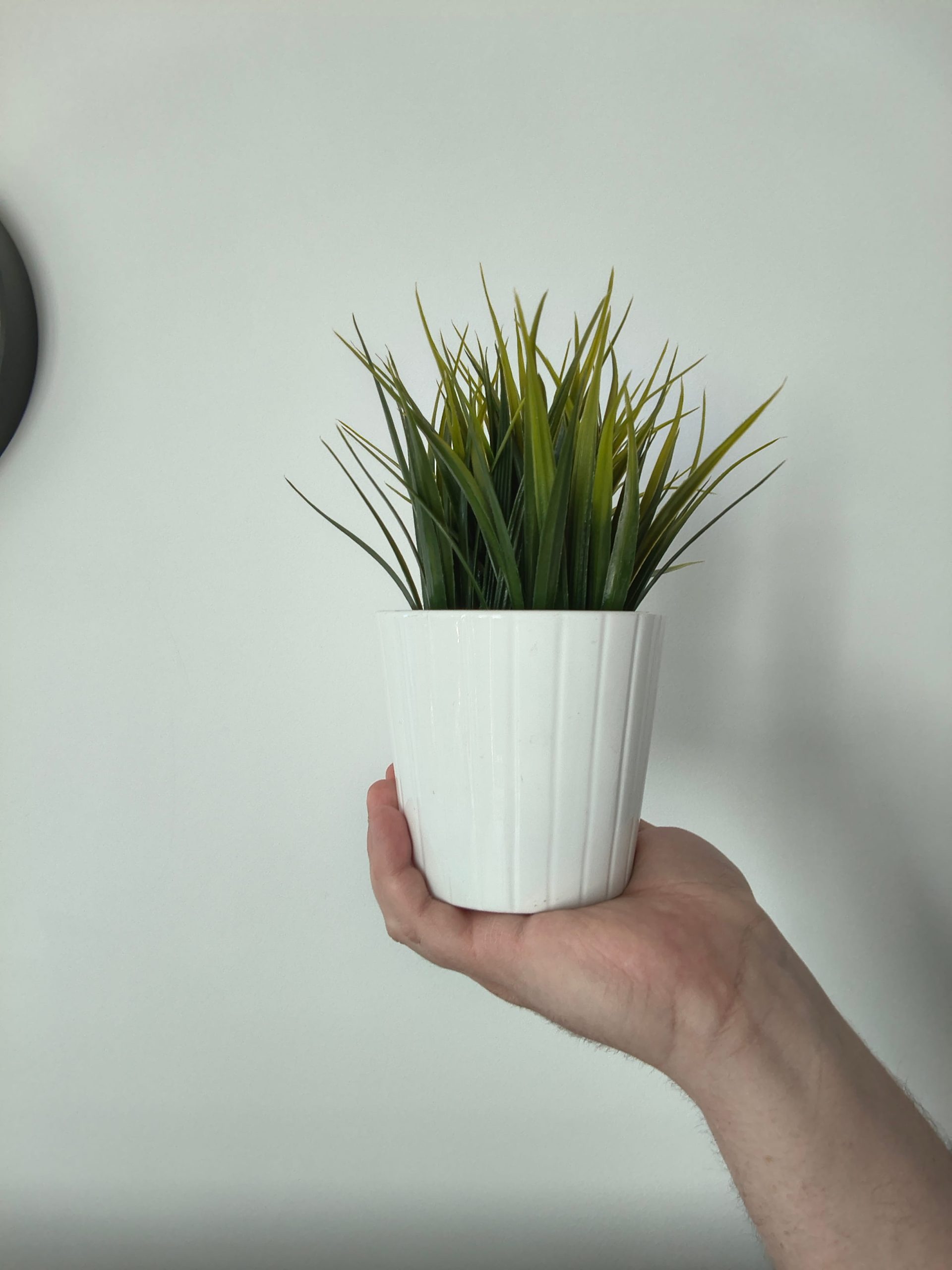 Przednia kamerka - Motorola Moto G86