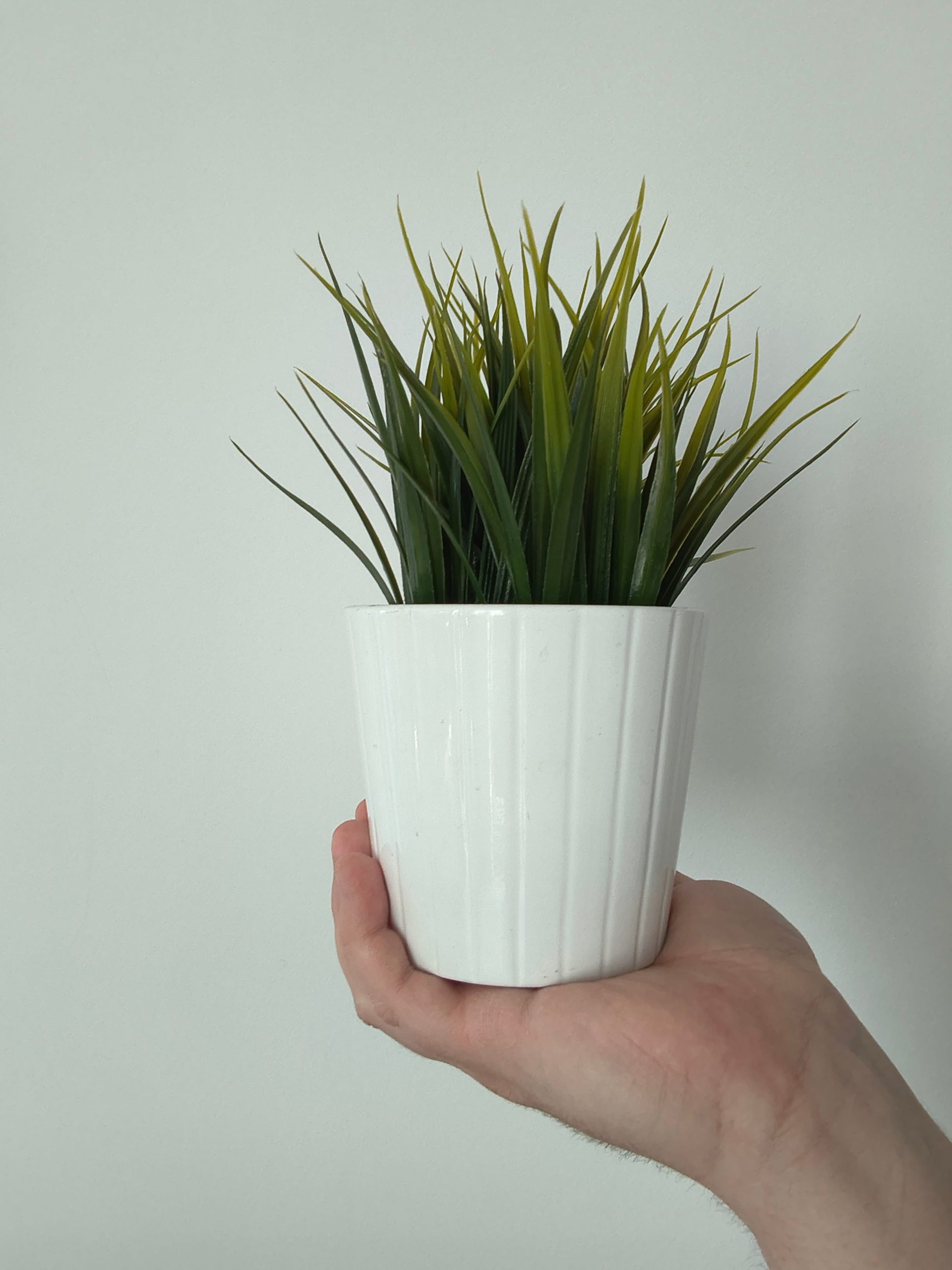 Przednia kamerka - Motorola Moto G86