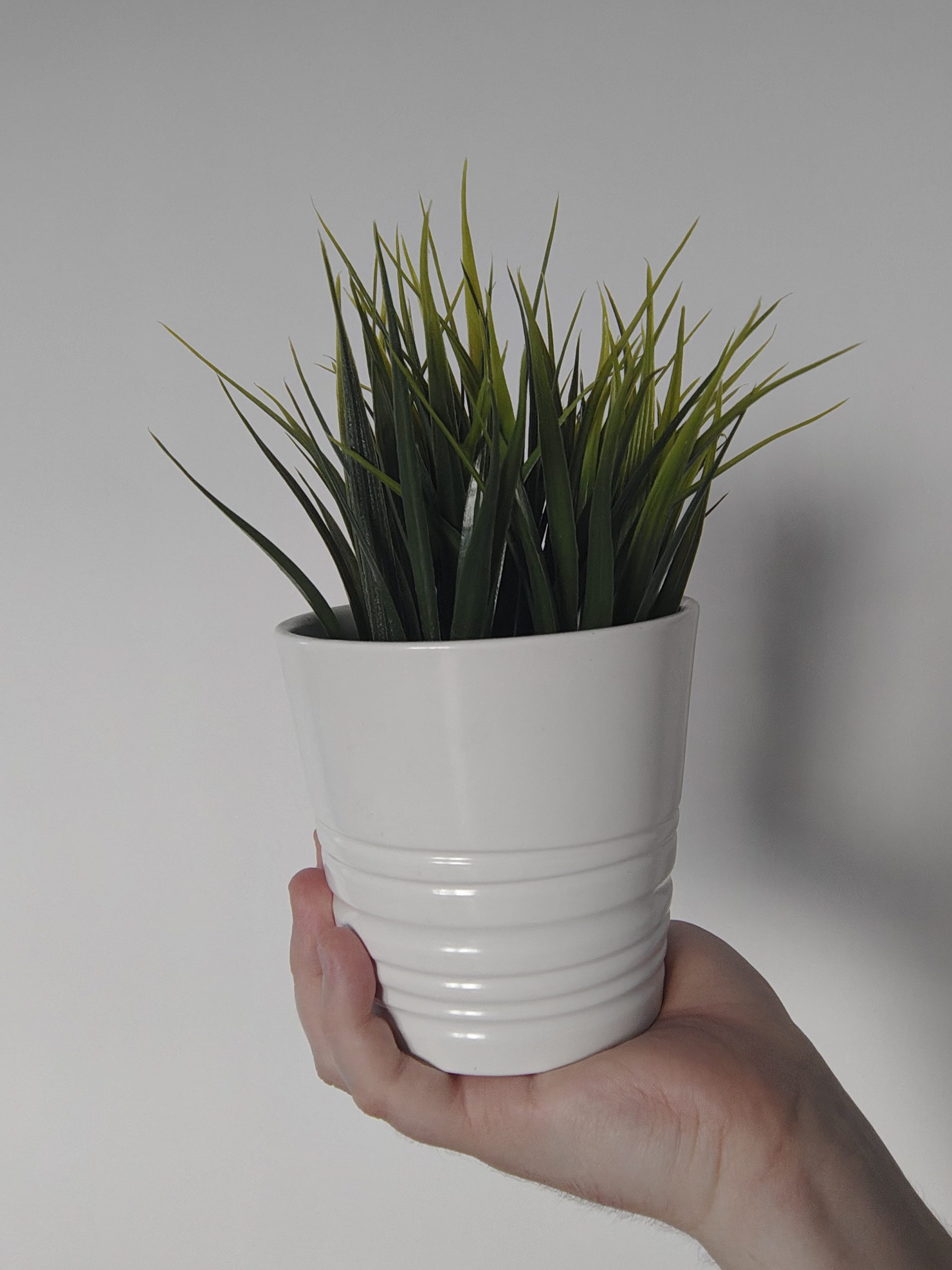 Przednia kamerka - Motorola Razr 50 Ultra