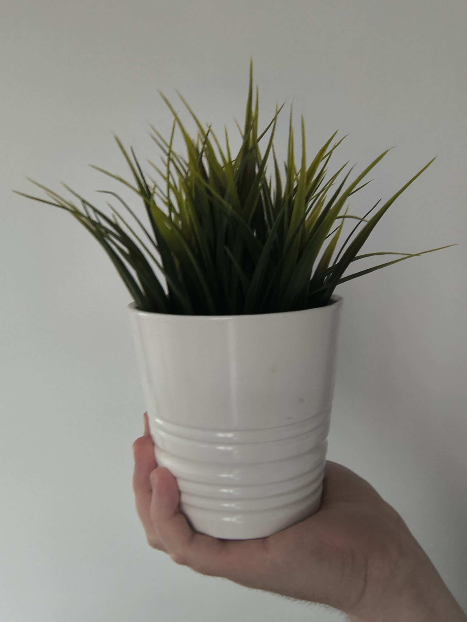 Przednia kamerka - Motorola Razr 50