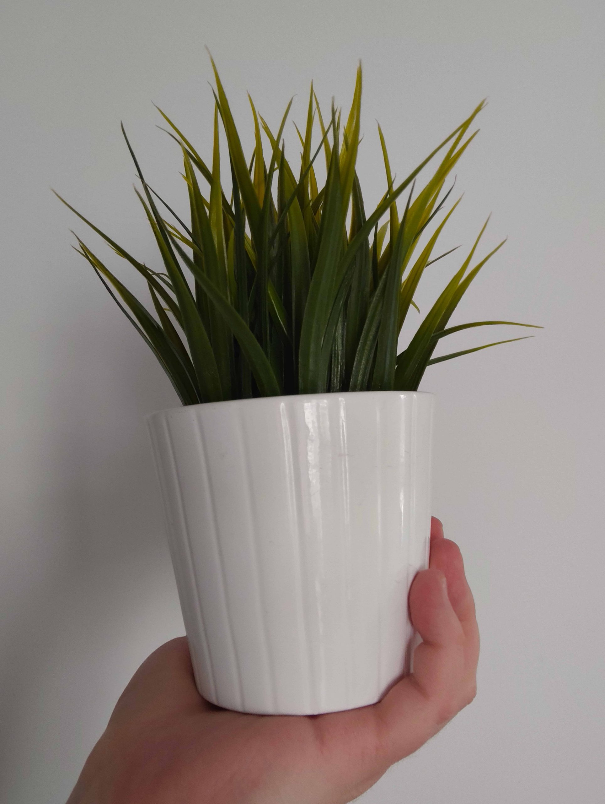 Przednia kamerka - Nothing Phone (3a) Pro