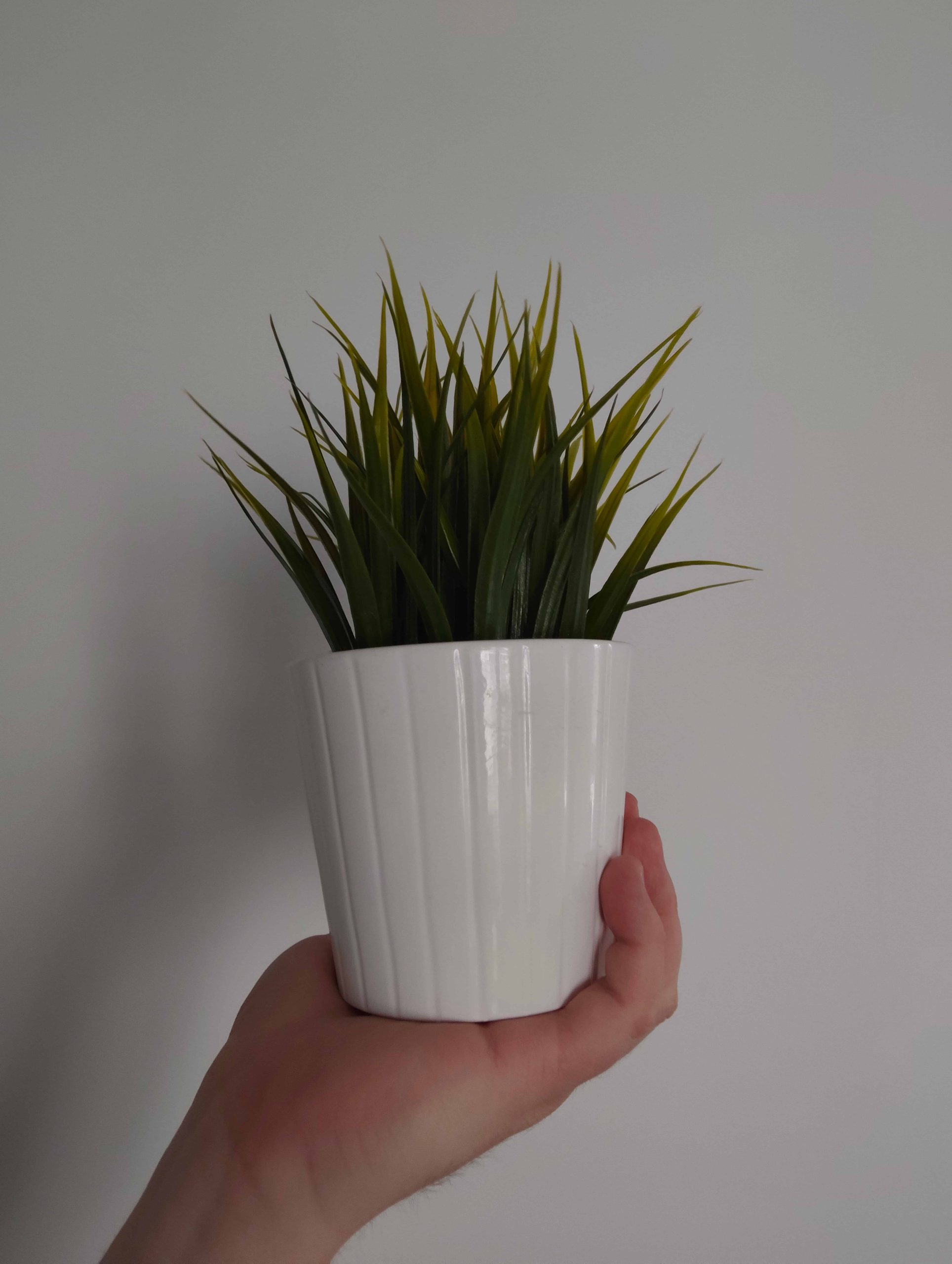 Przednia kamerka - Nothing Phone (3a) Pro