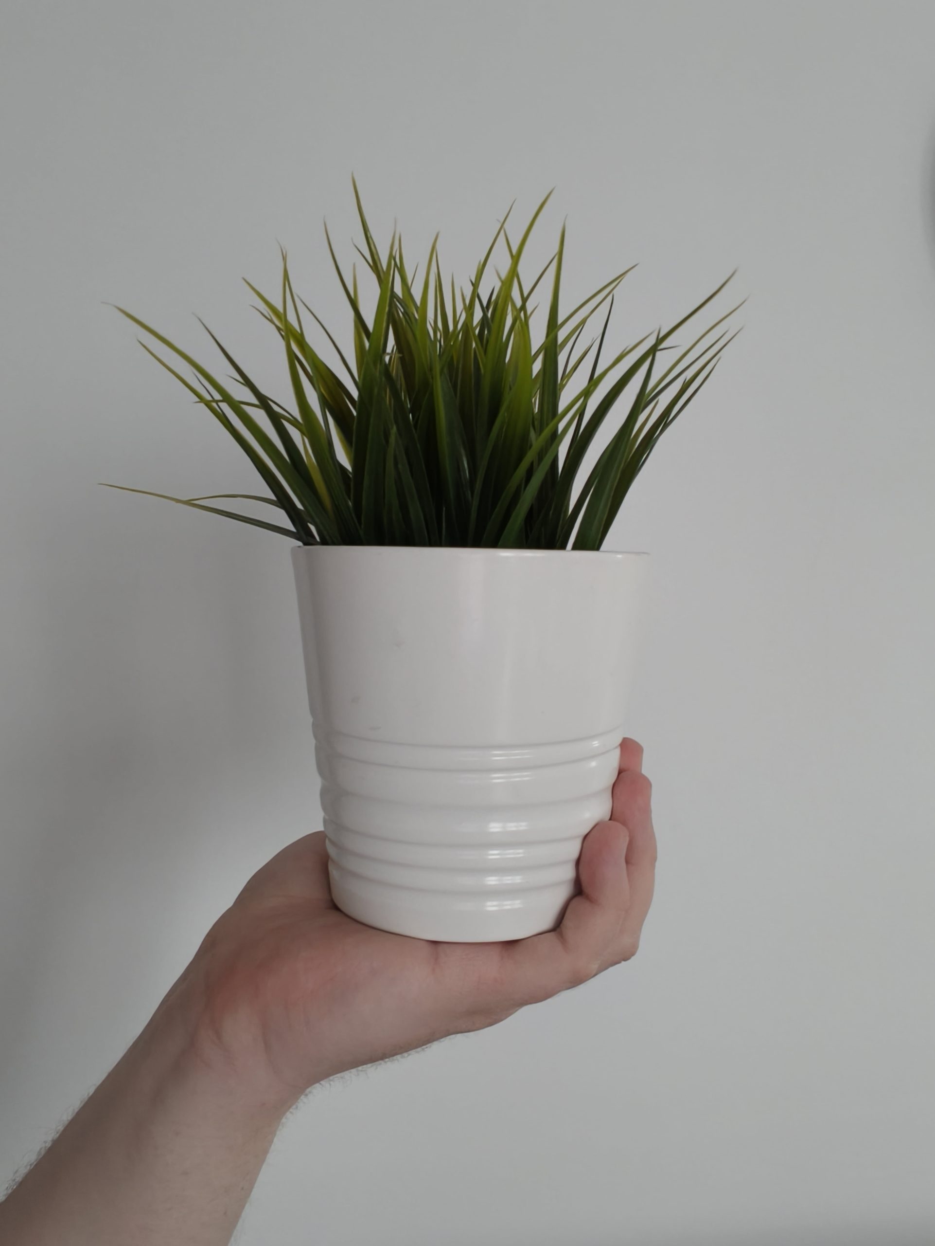 Przednia kamerka - OPPO Find X8 Pro