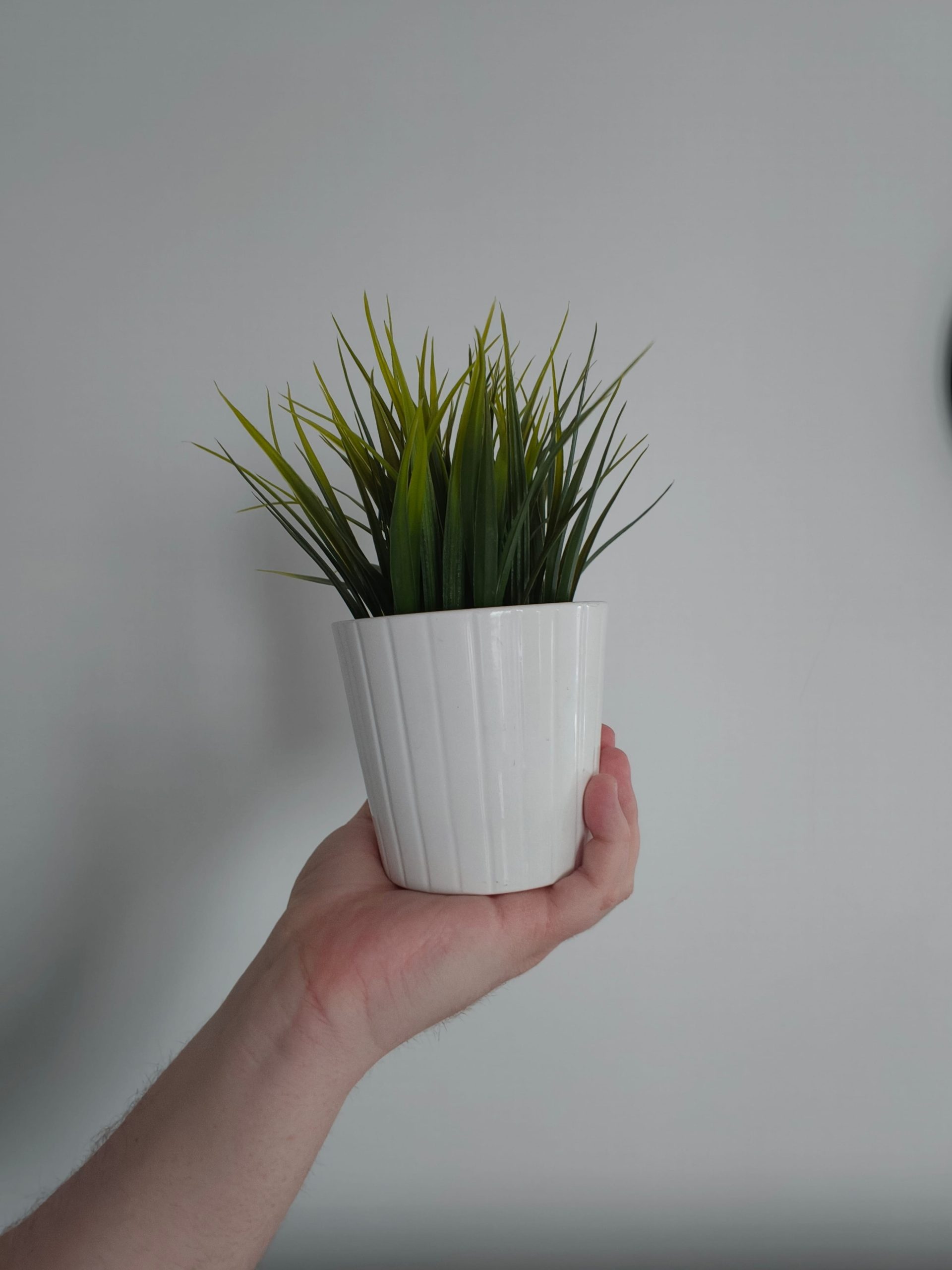 Przednia kamerka - OPPO Find X9 Pro