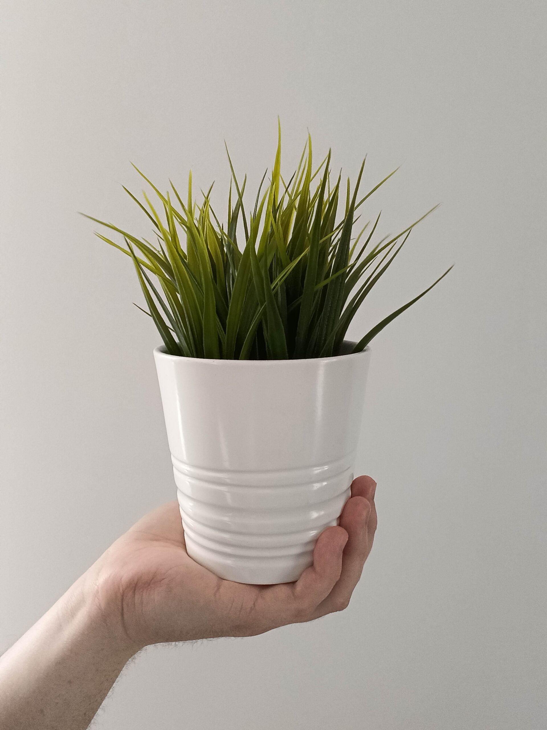 Przednia kamerka - OPPO Reno12 F