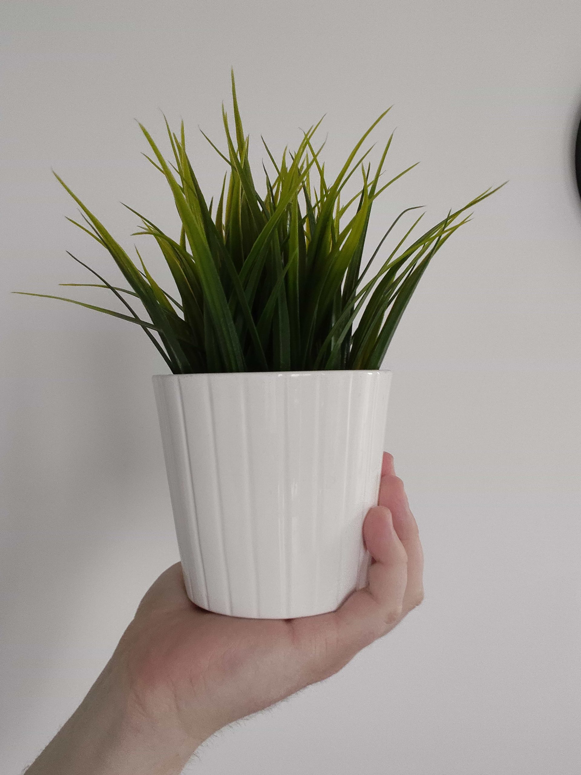 Przednia kamerka - OPPO Reno13 FS