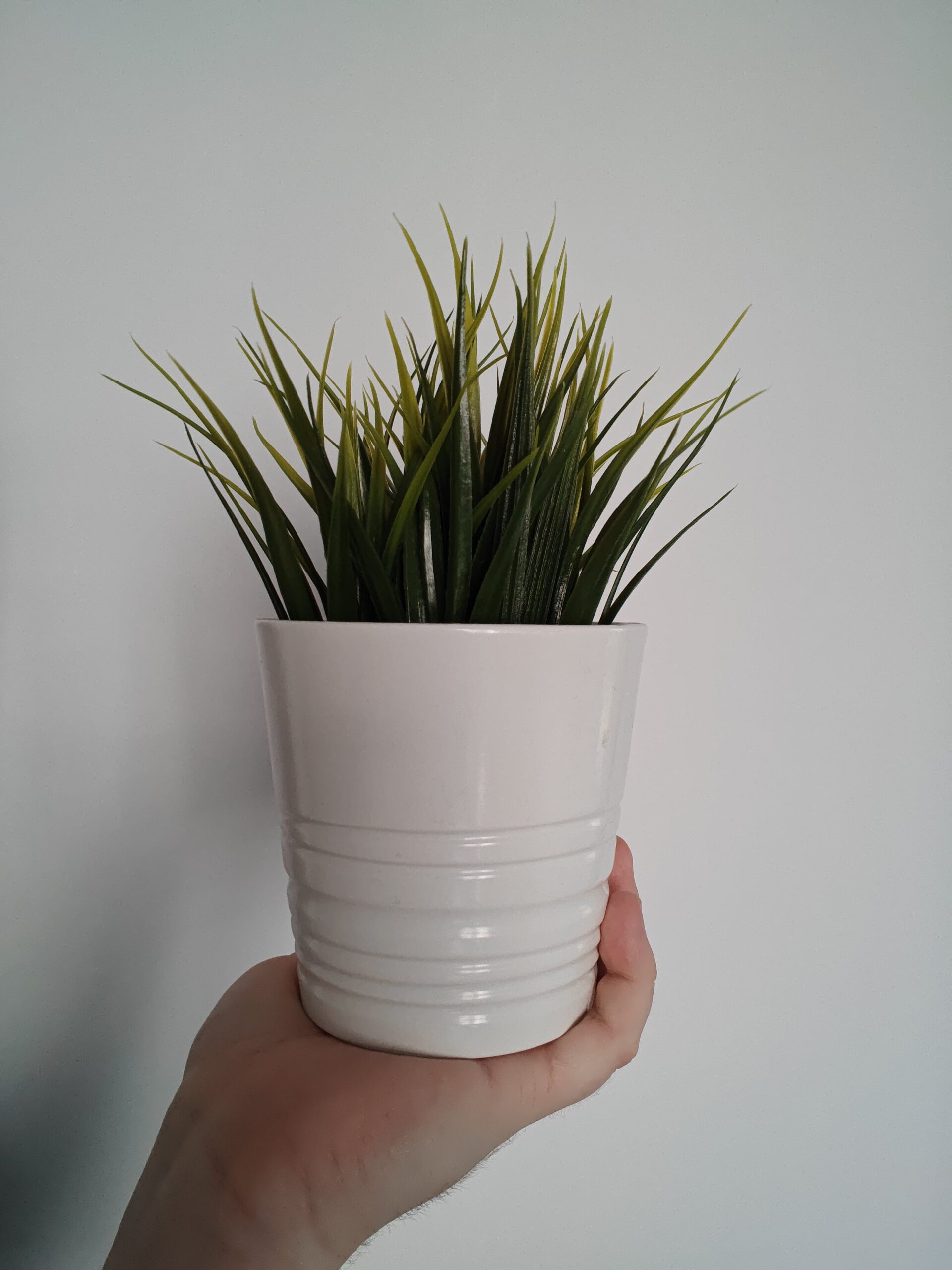 Przednia kamerka - OnePlus Nord 4 Przednia kamerka - OnePlus Nord 4