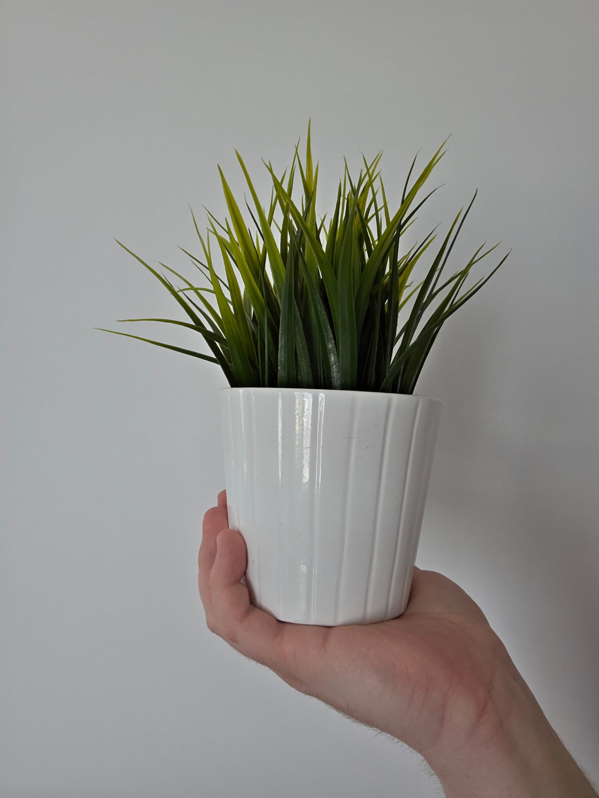 Przednia kamerka - Samsung Galaxy S25 Ultra