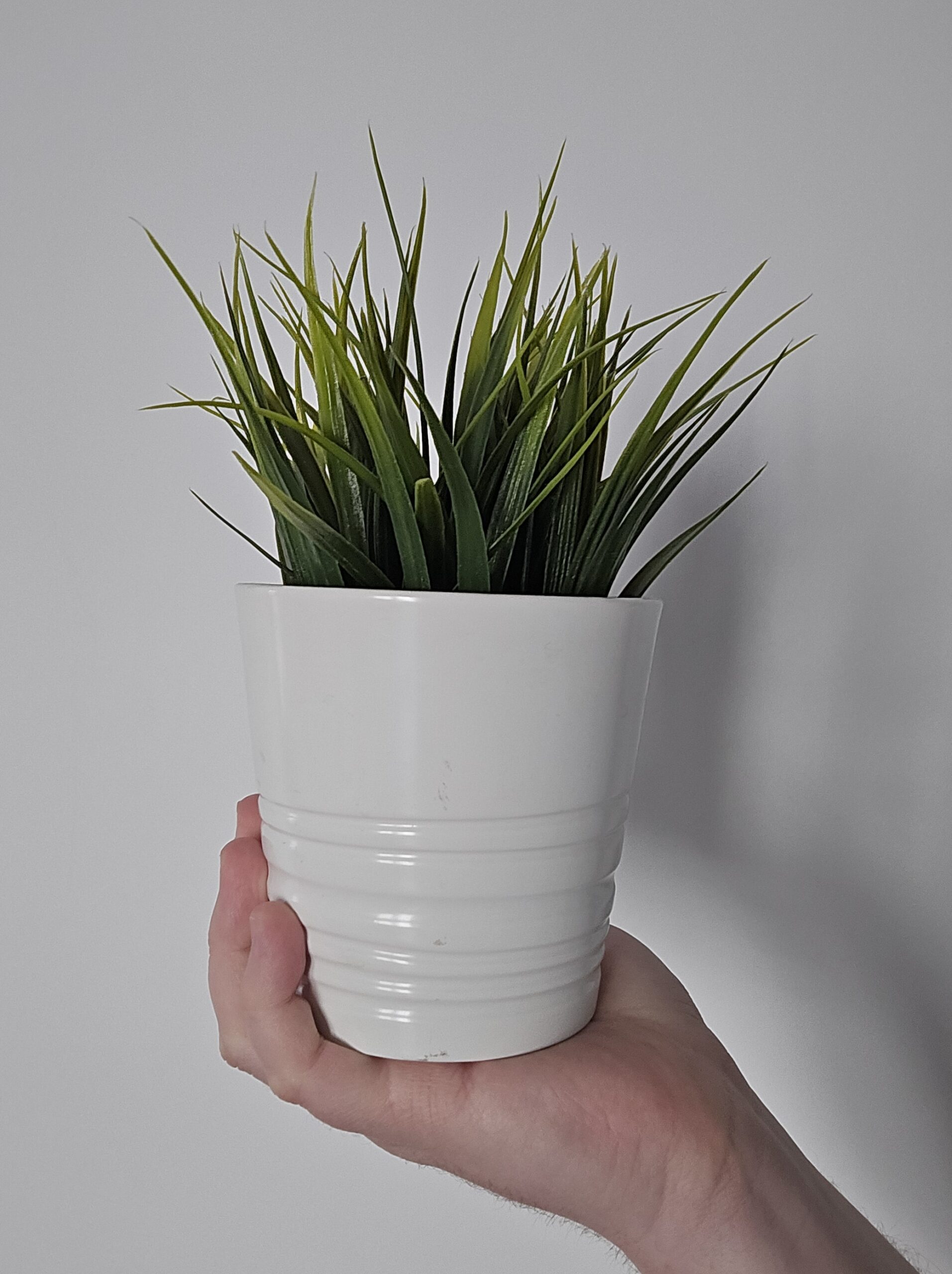 Przednia kamerka - Samsung Galaxy Z Fold6