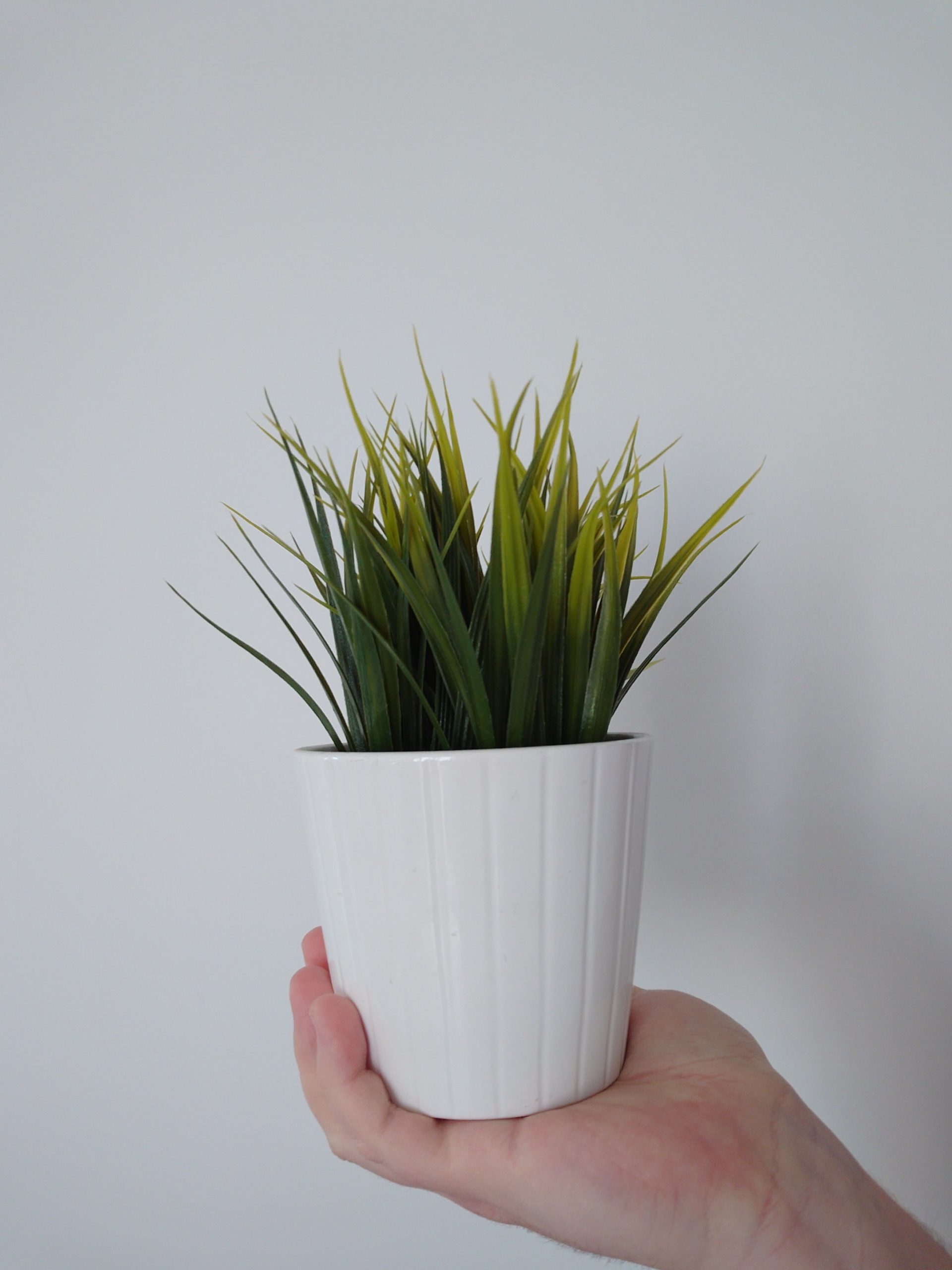 Przednia kamerka - Sony Xperia 1 VII