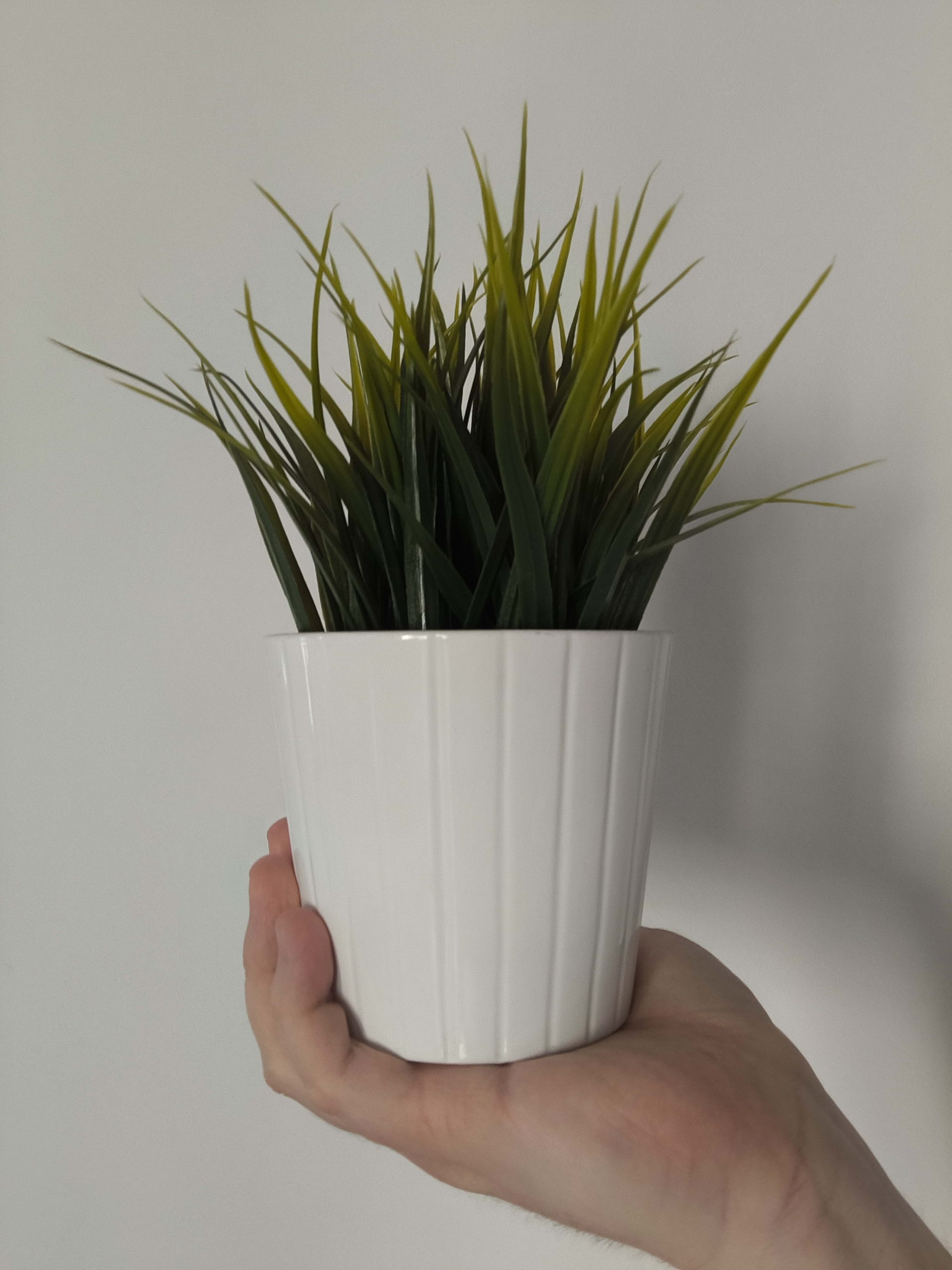 Przednia kamerka - nubia Flip 2