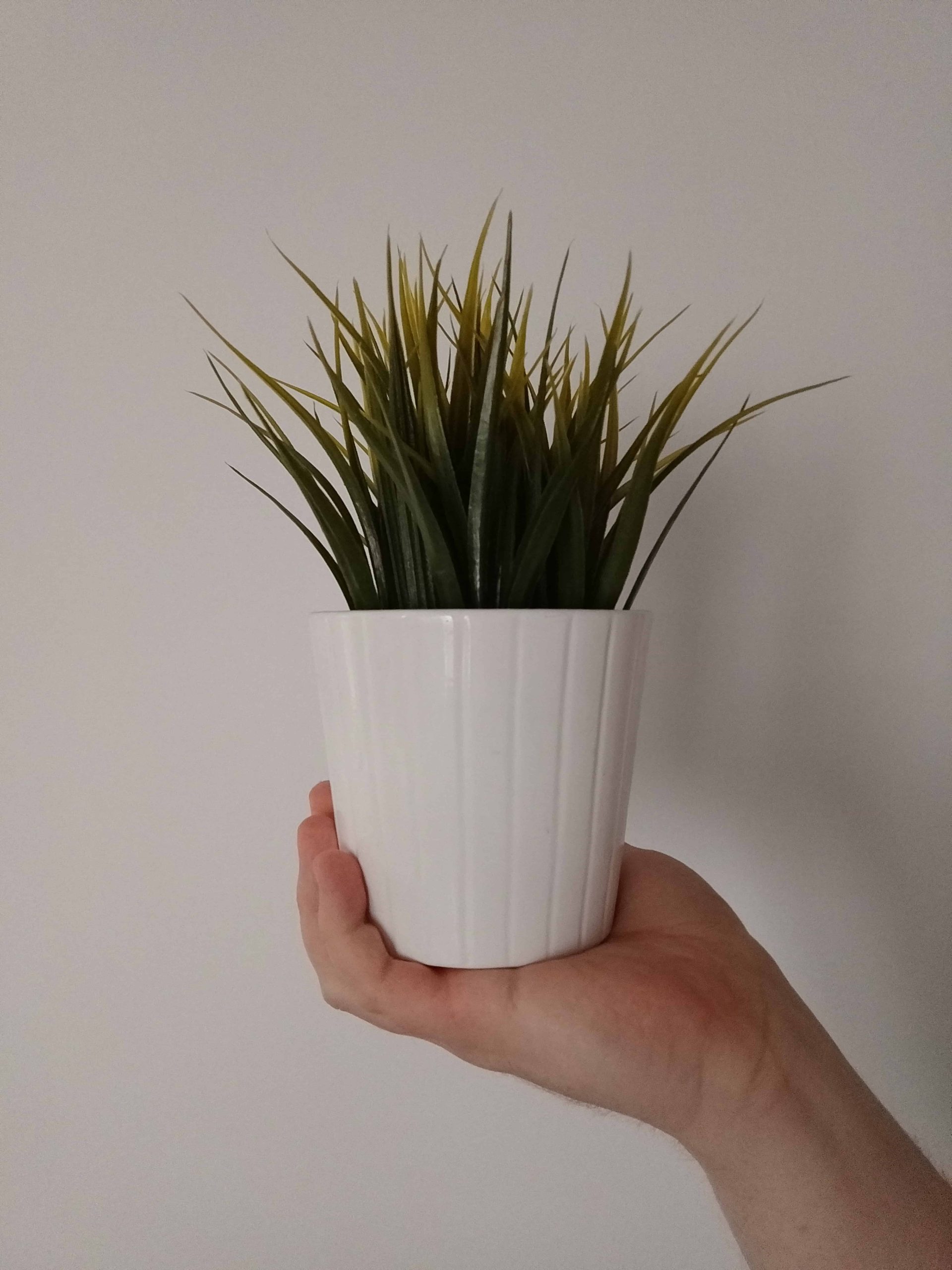 Przednia kamerka - nubia Focus 2 Ultra