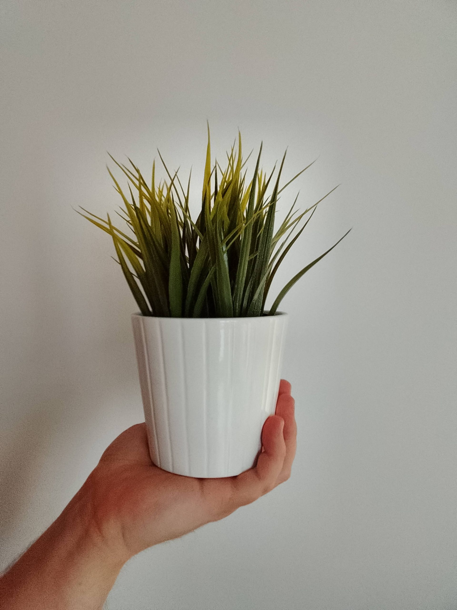 Przednia kamerka - nubia Neo 2