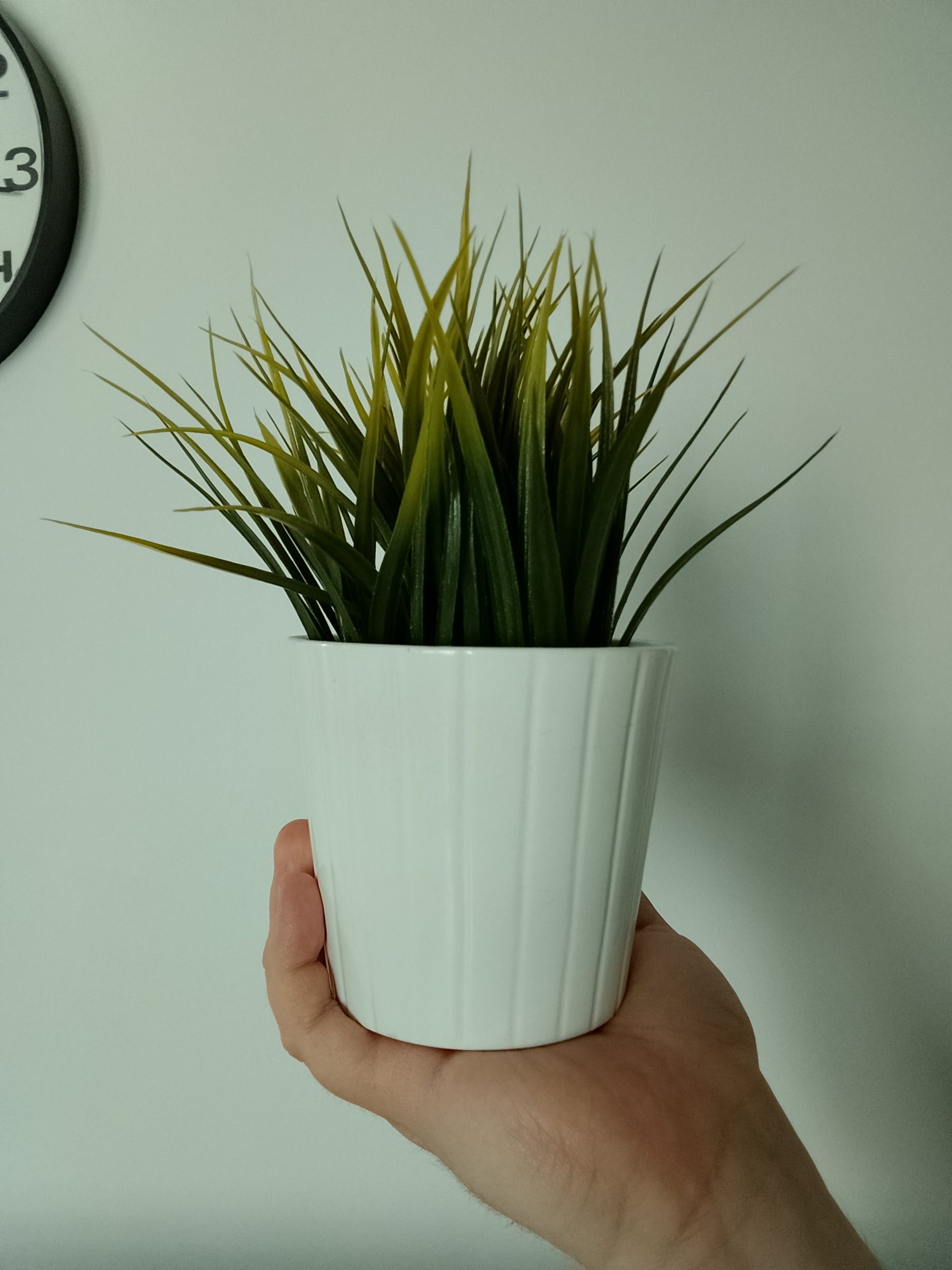 Przednia kamerka - nubia Neo 3 GT