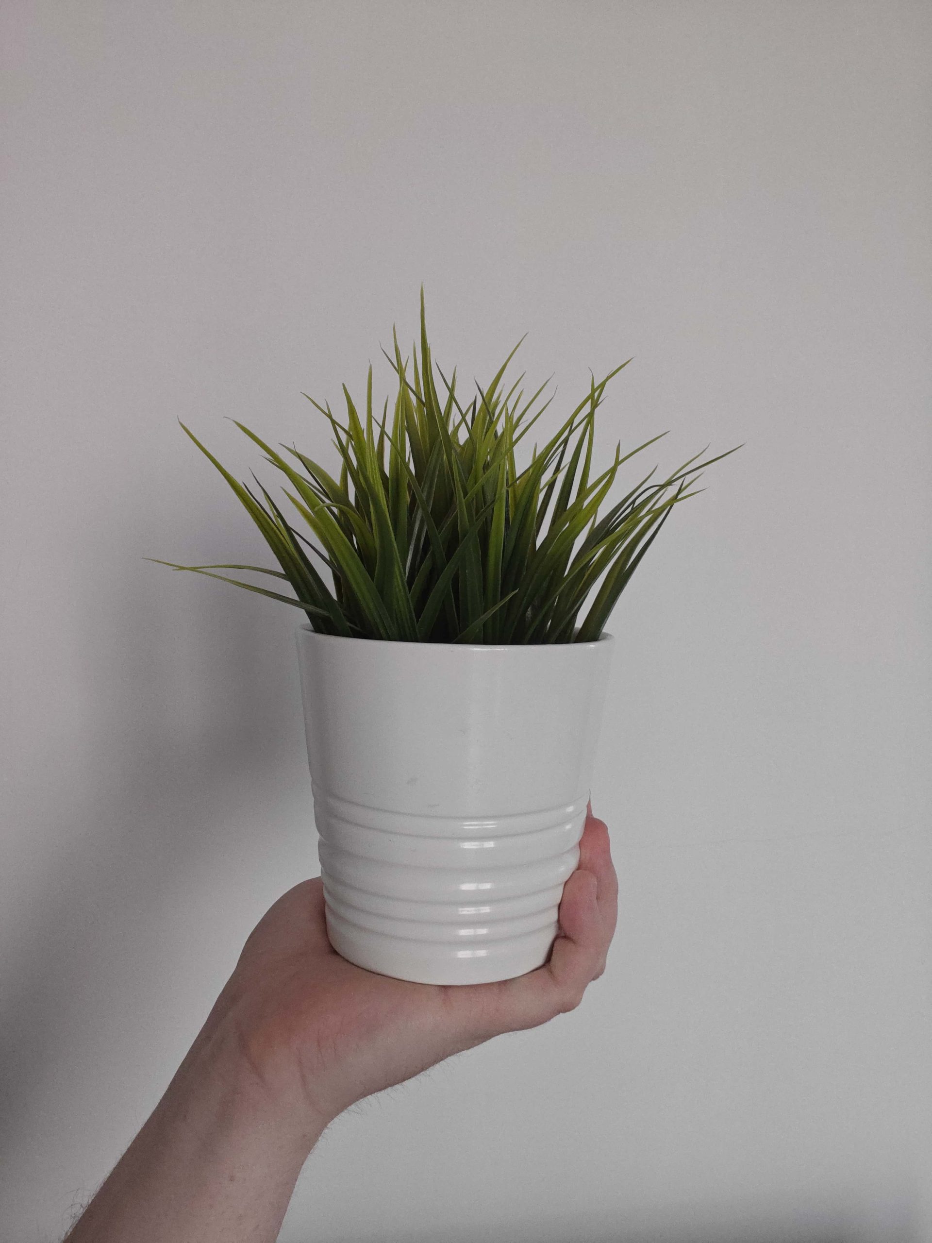 Przednia kamerka - realme GT7 Pro