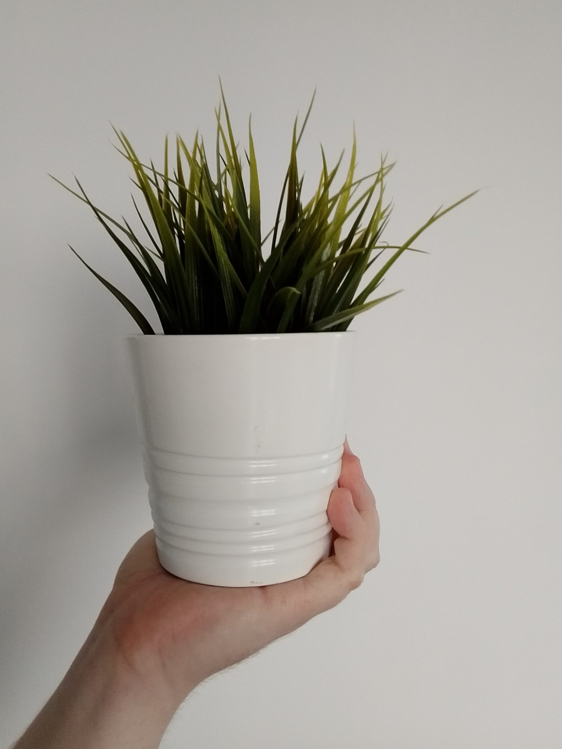 Przednia kamerka - realme Note 60