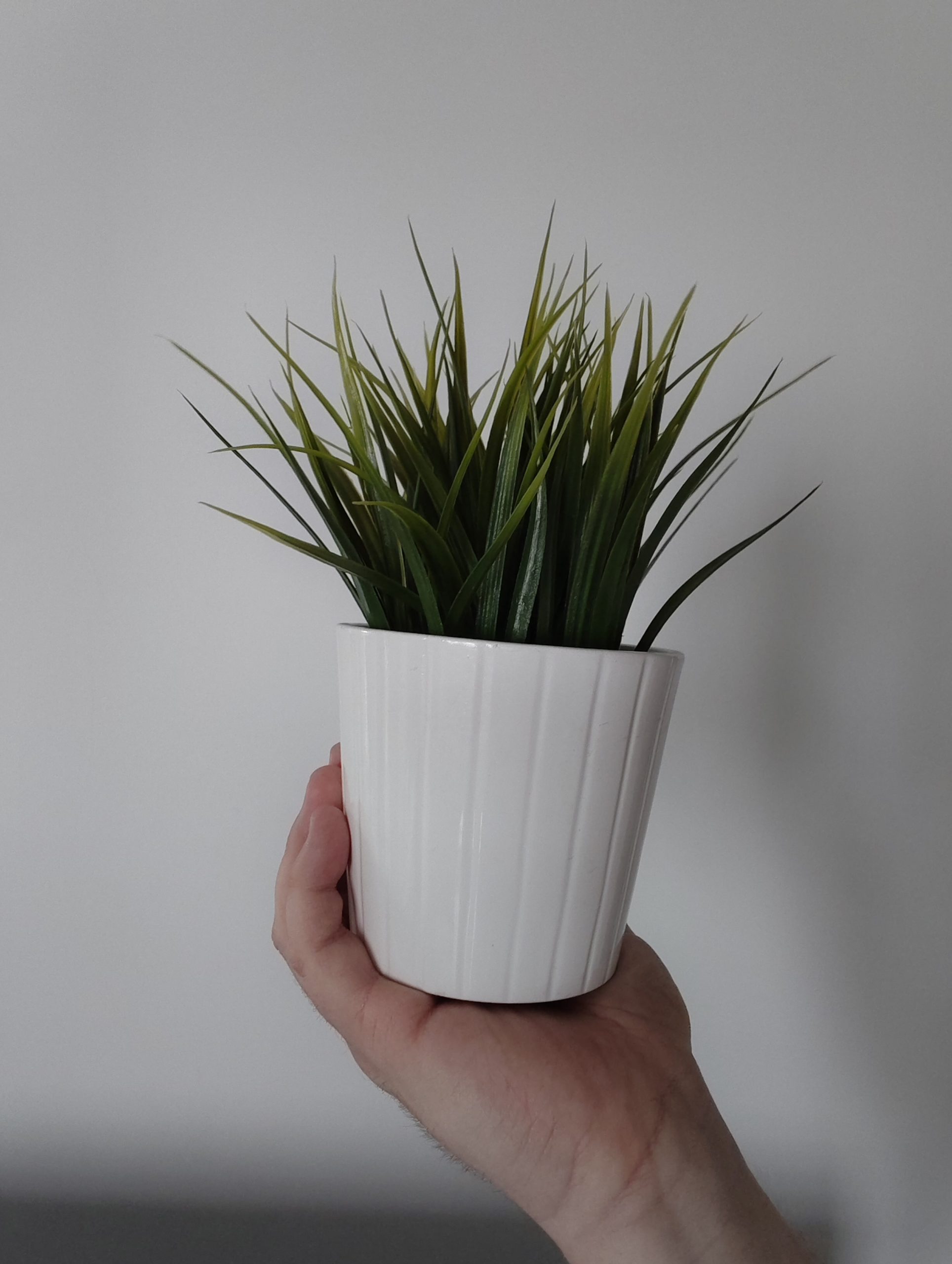 Przednia kamerka - vivo V50