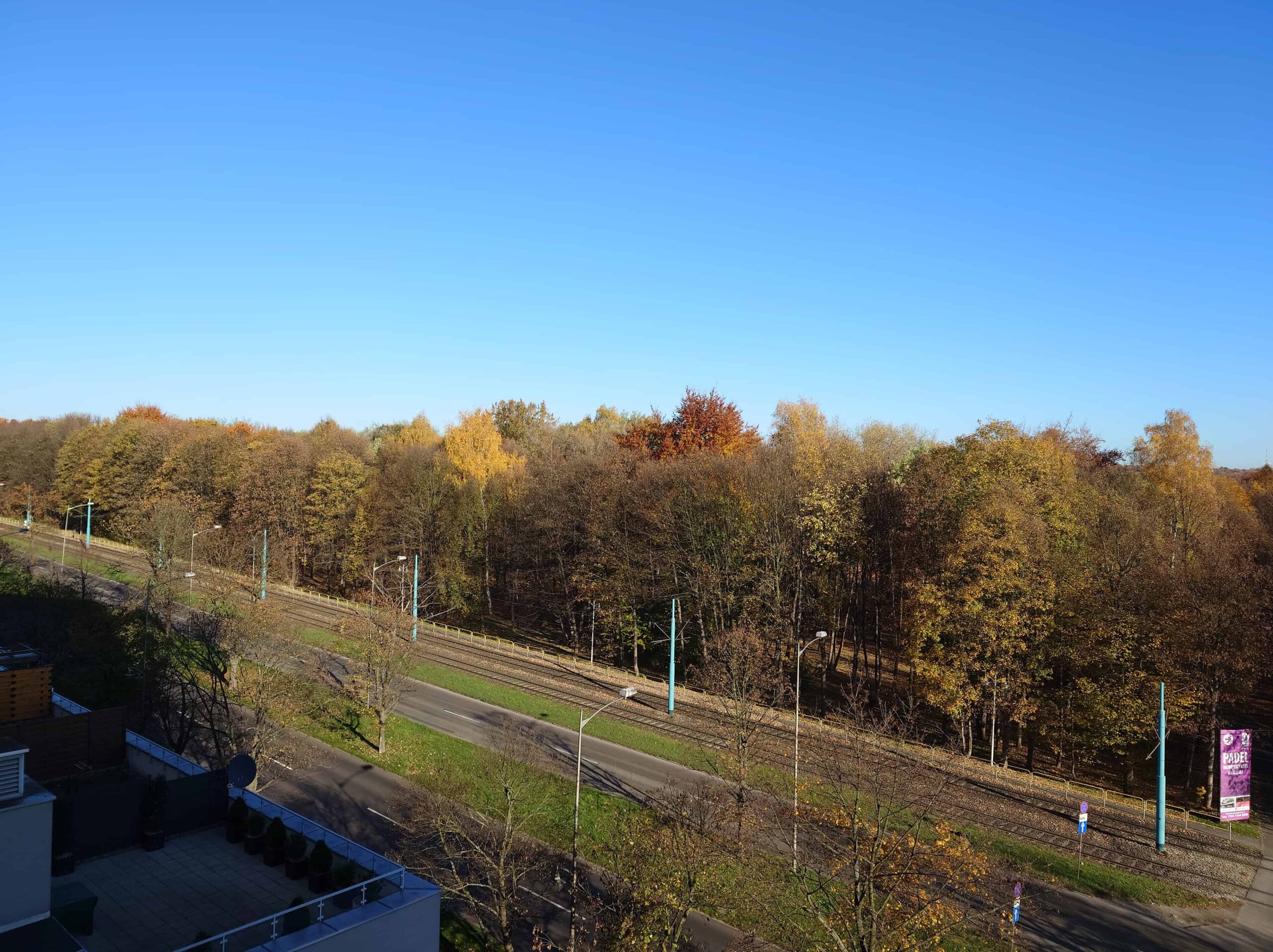 Słoneczna pogoda - Sony Xperia 1 VI