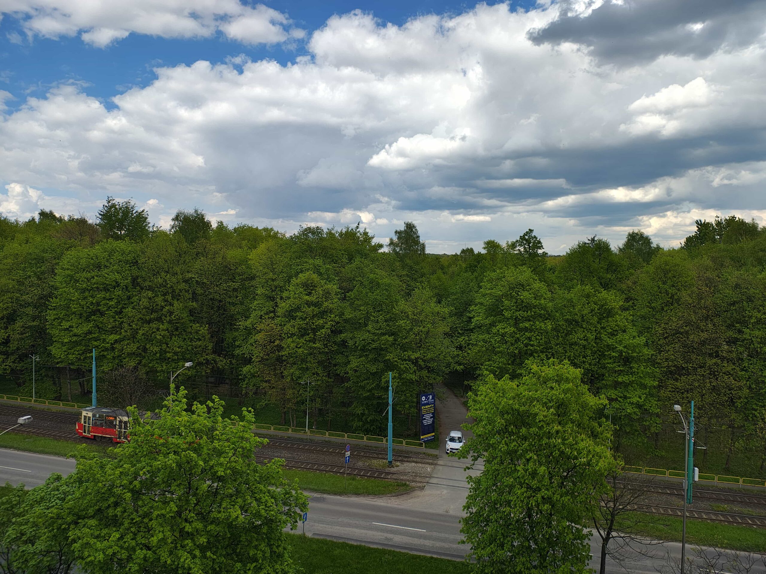 Słoneczna pogoda - Motorola Edge 50 Pro Słoneczna pogoda - Motorola Edge 50 Pro