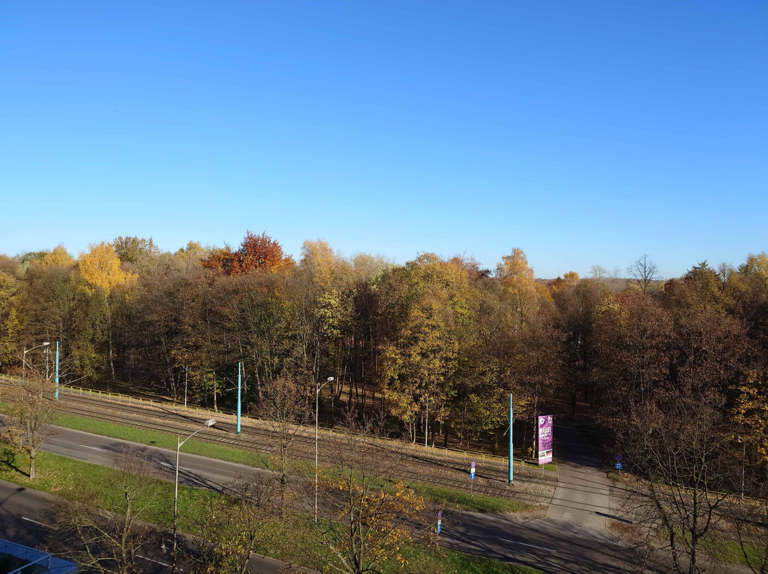 Słoneczna pogoda - Sony Xperia 1 VI