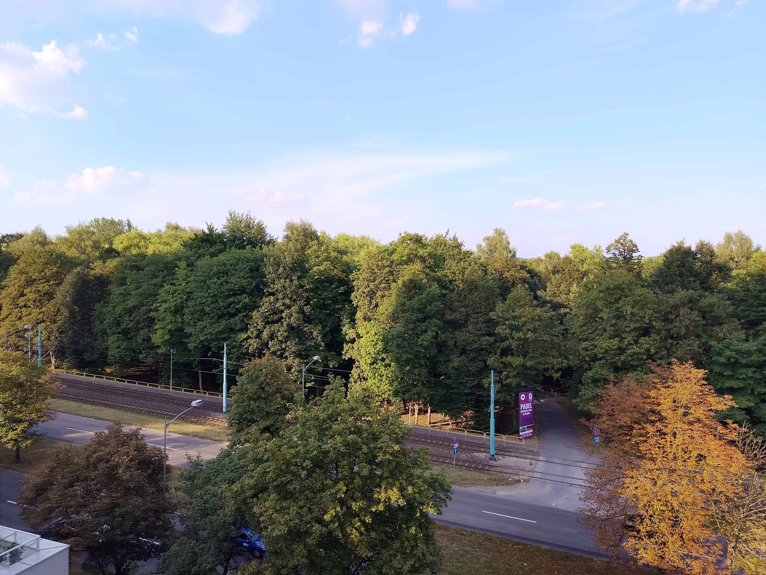 Słoneczna pogoda - nubia Focus Pro 5G