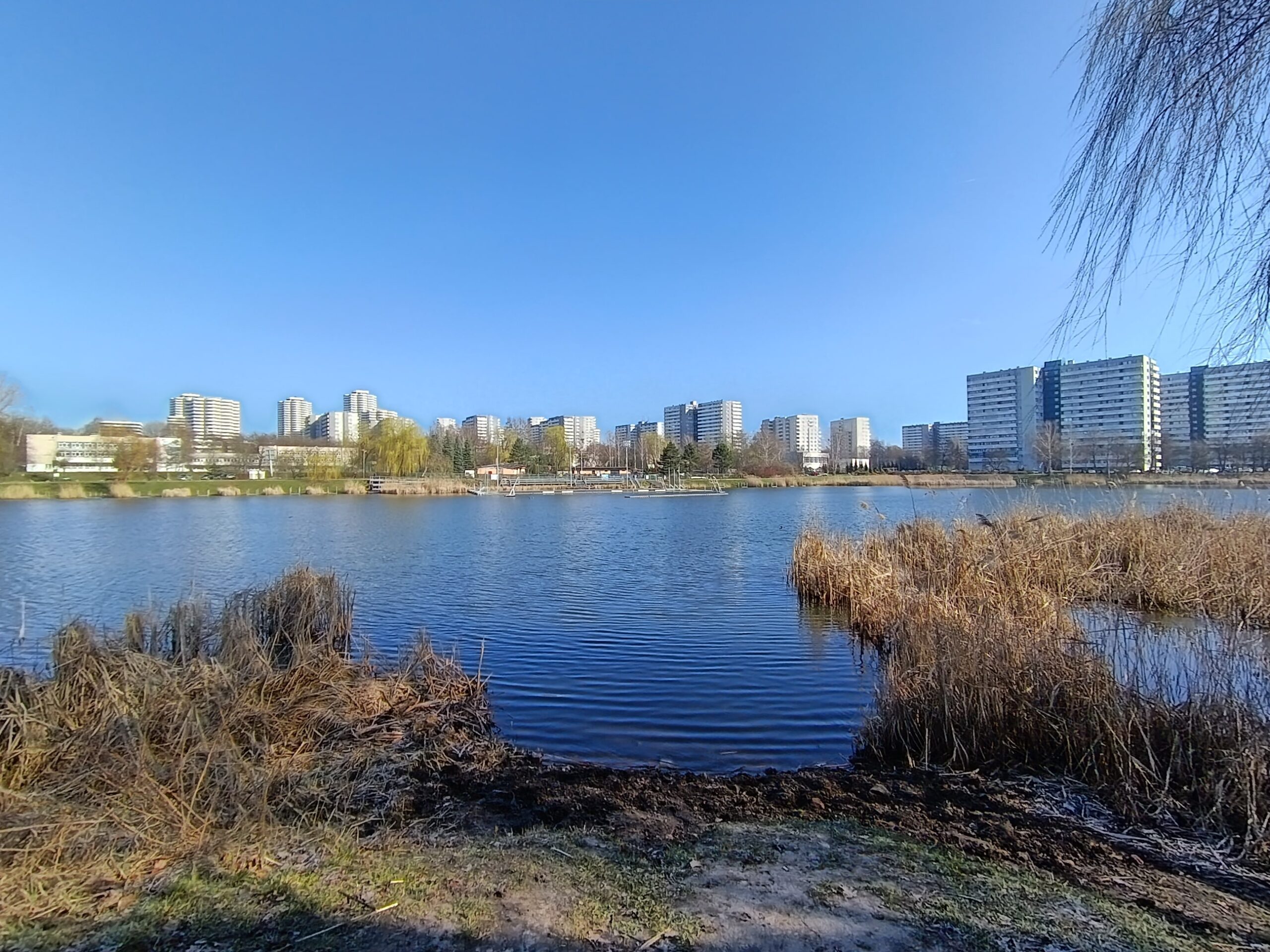 Zdjęcia - HONOR 400 Lite