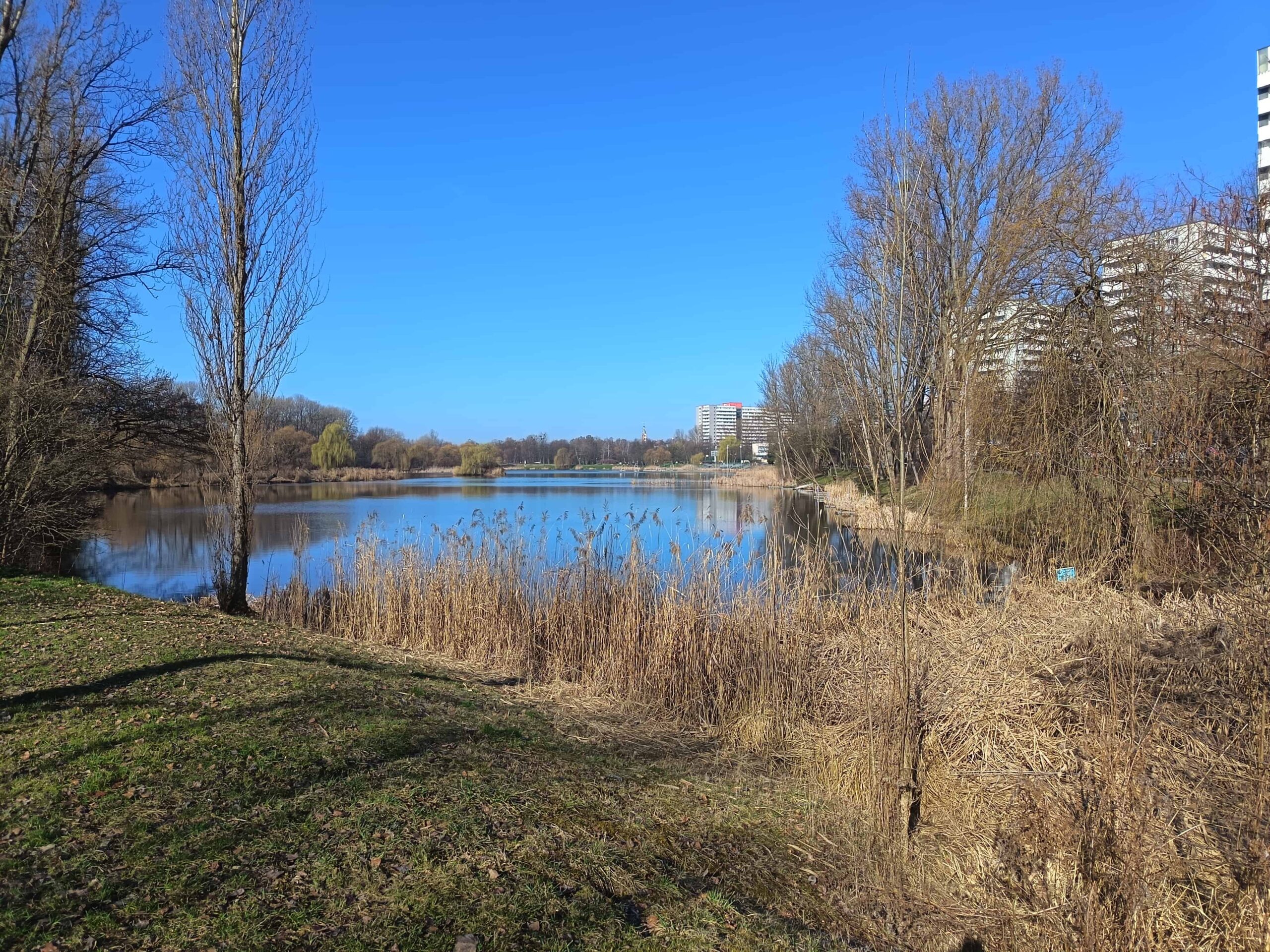 Zdjęcia - HONOR 400 Lite