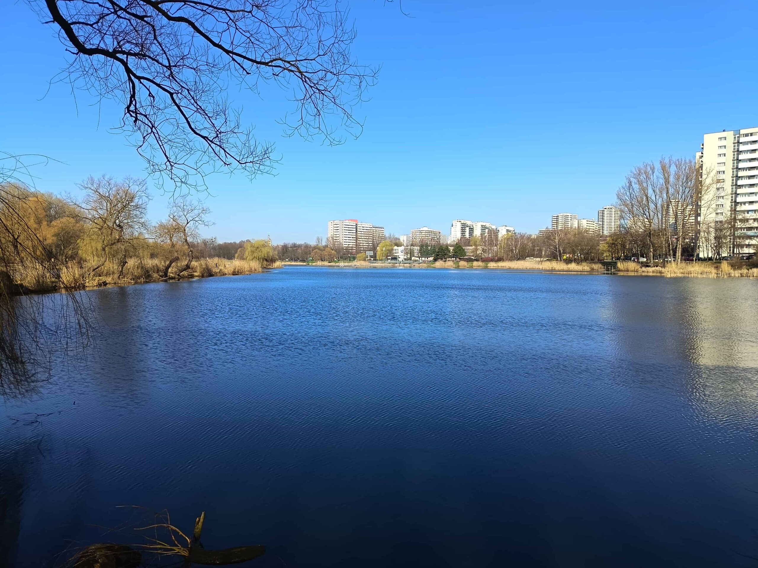 Zdjęcia - HONOR 400 Lite